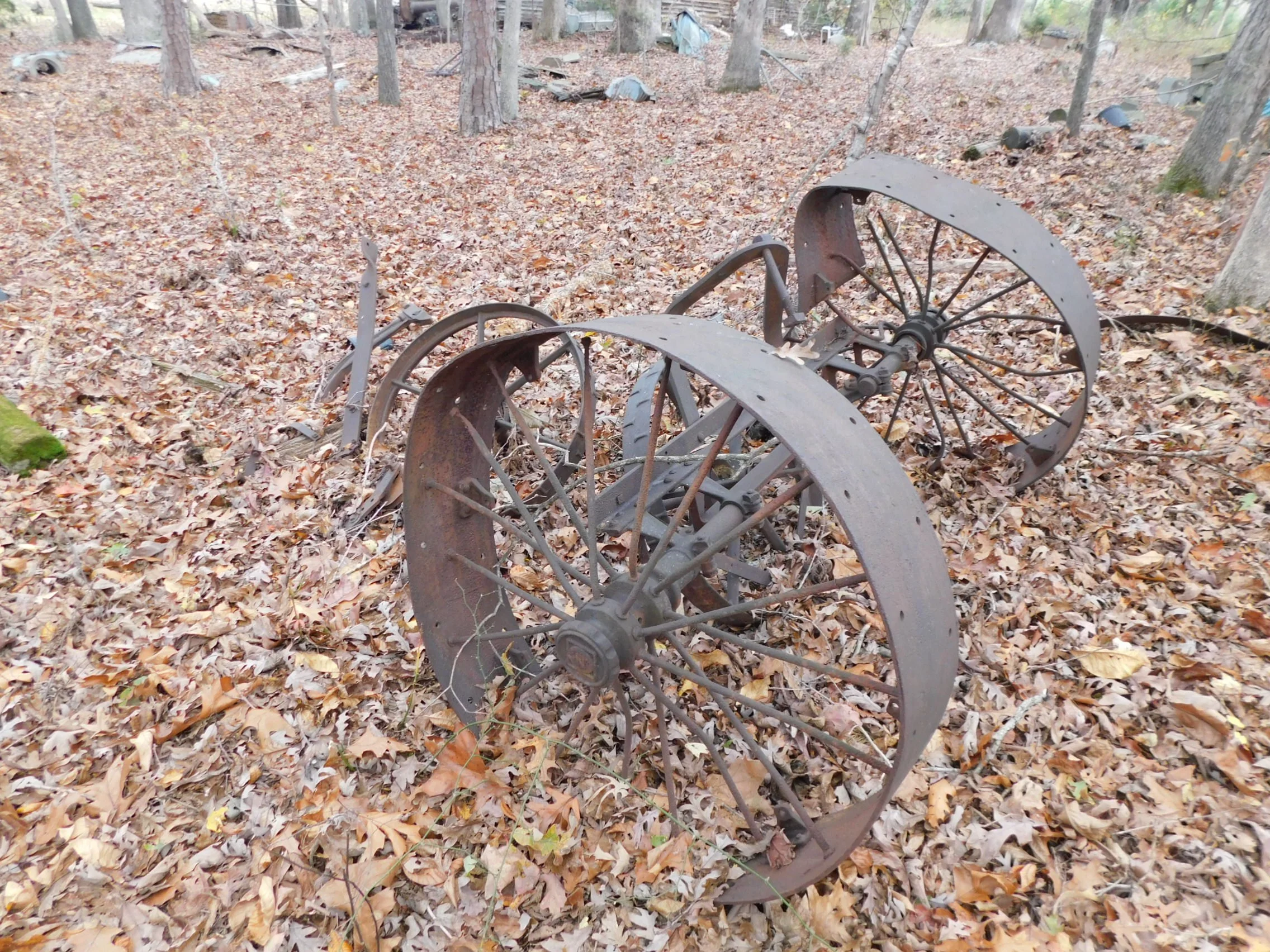 DSCN3059.JPG