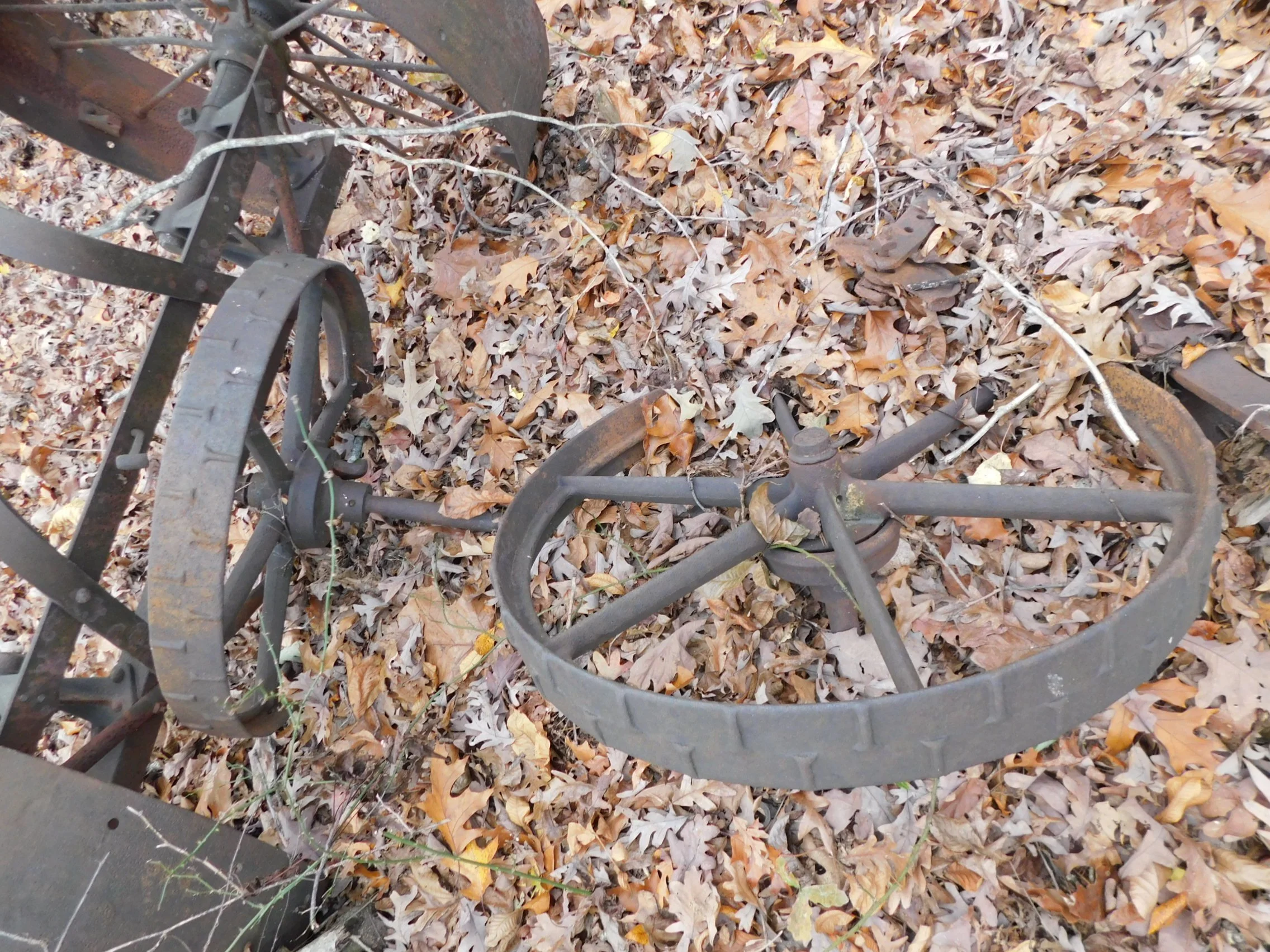 DSCN3061.JPG