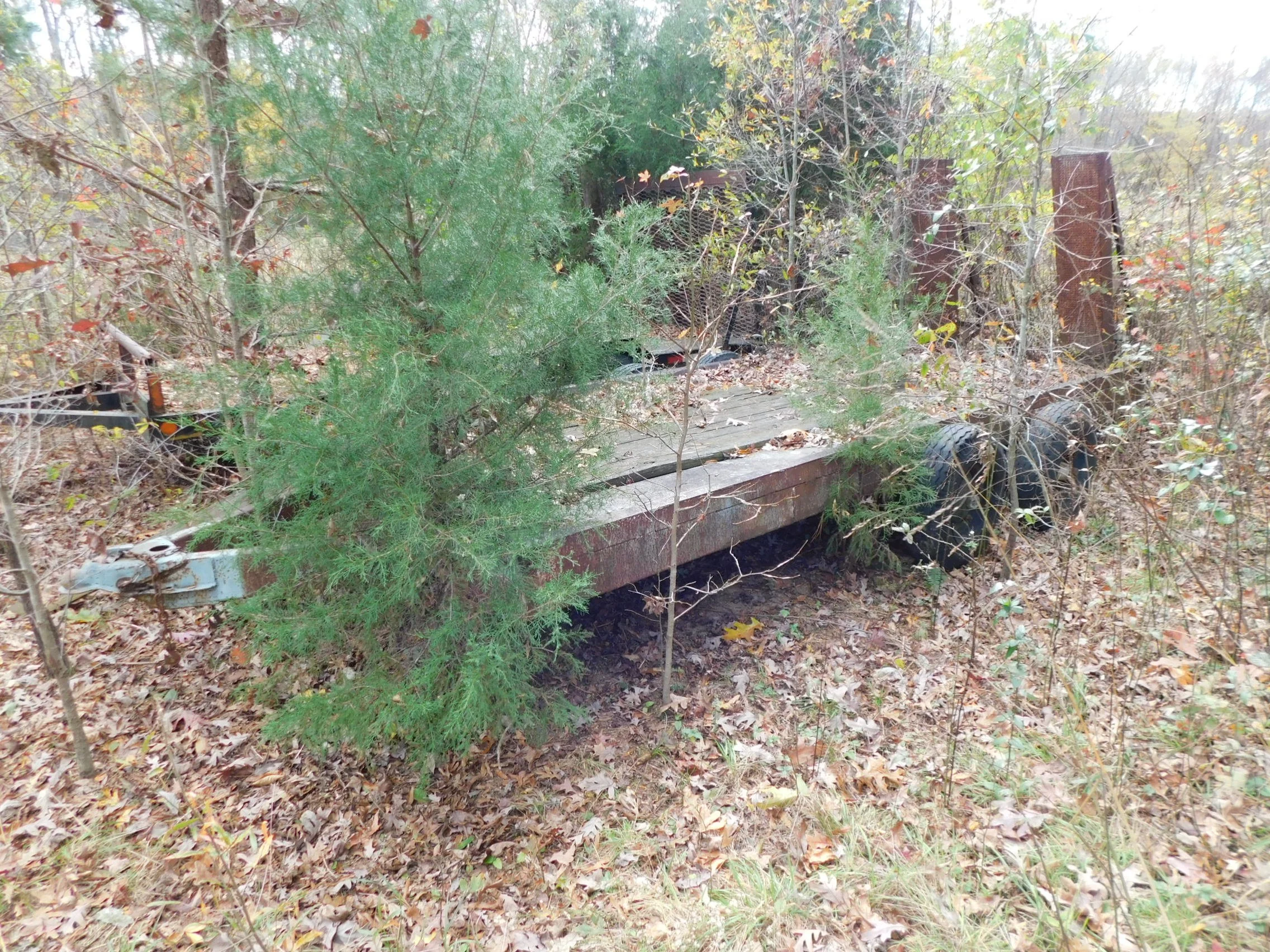 DSCN3062.JPG