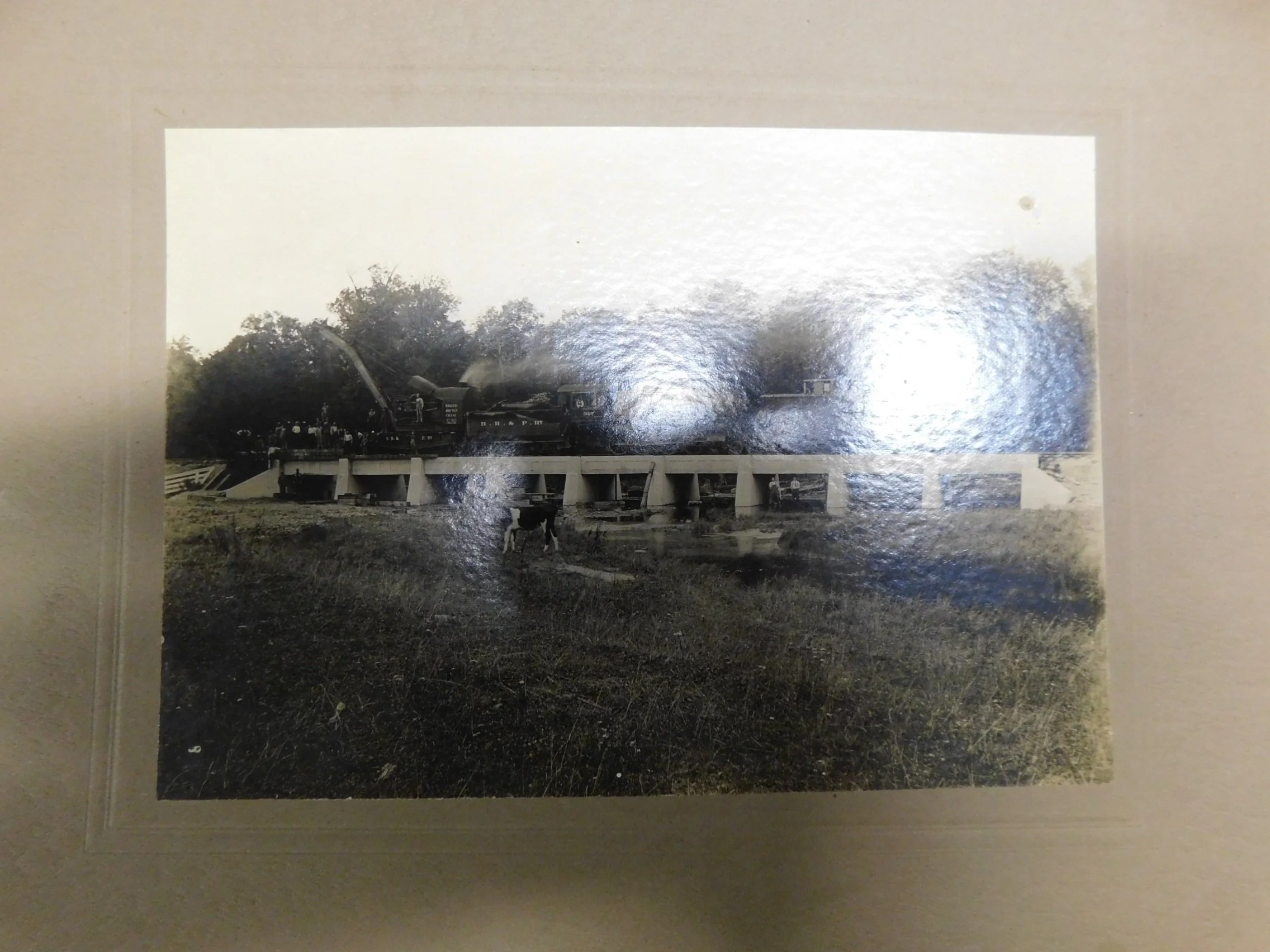 DSCN3101.JPG