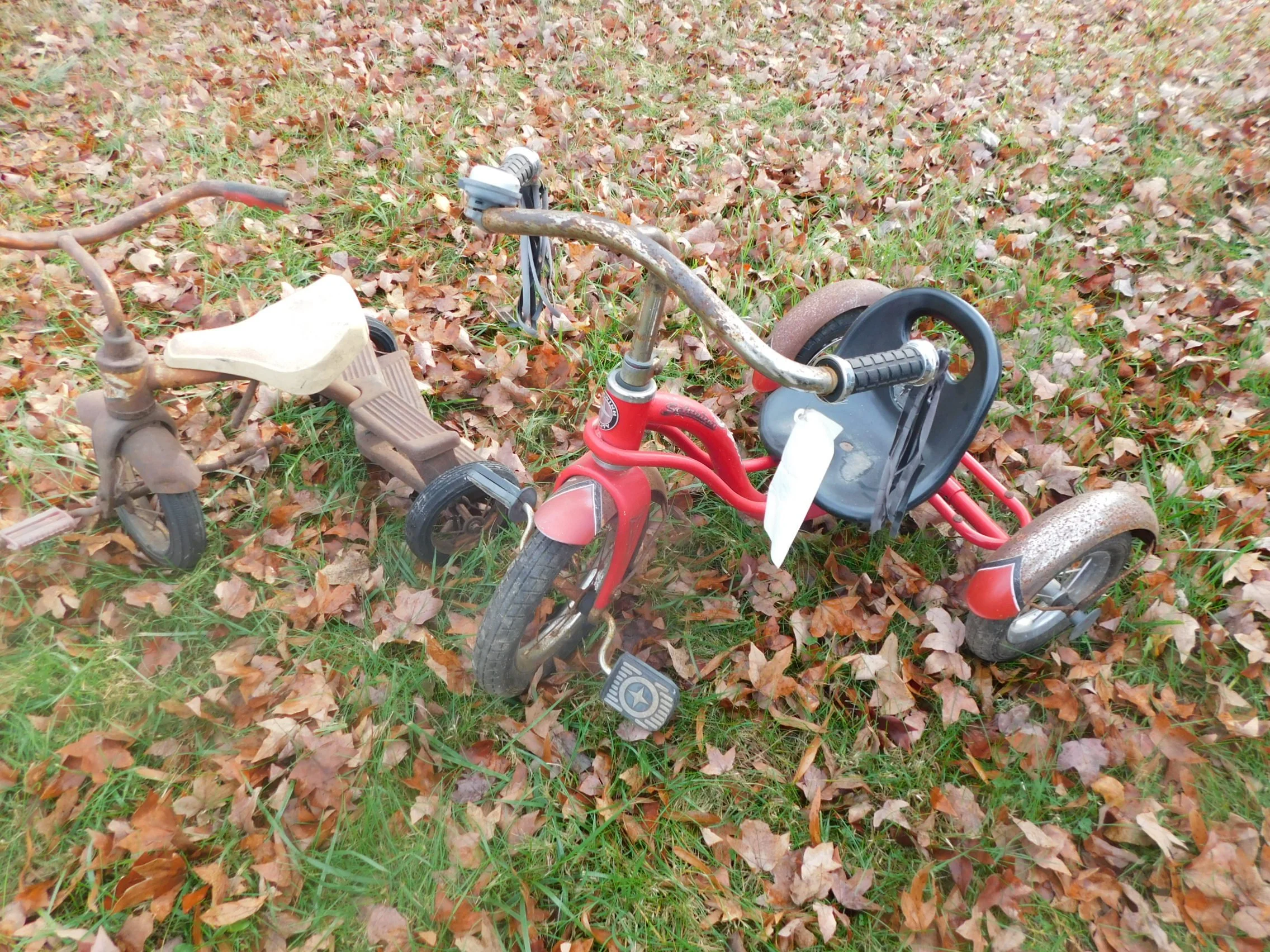 DSCN3186.JPG