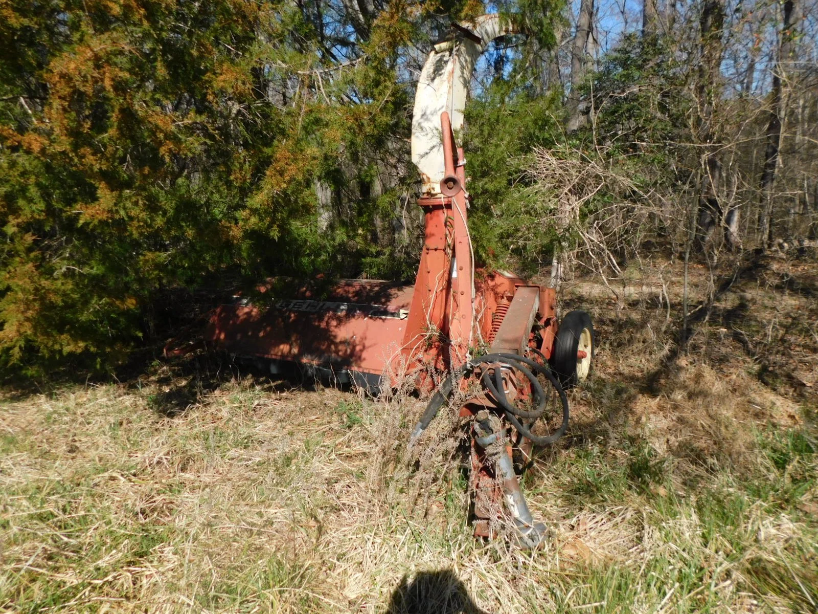 DSCN3898.JPG