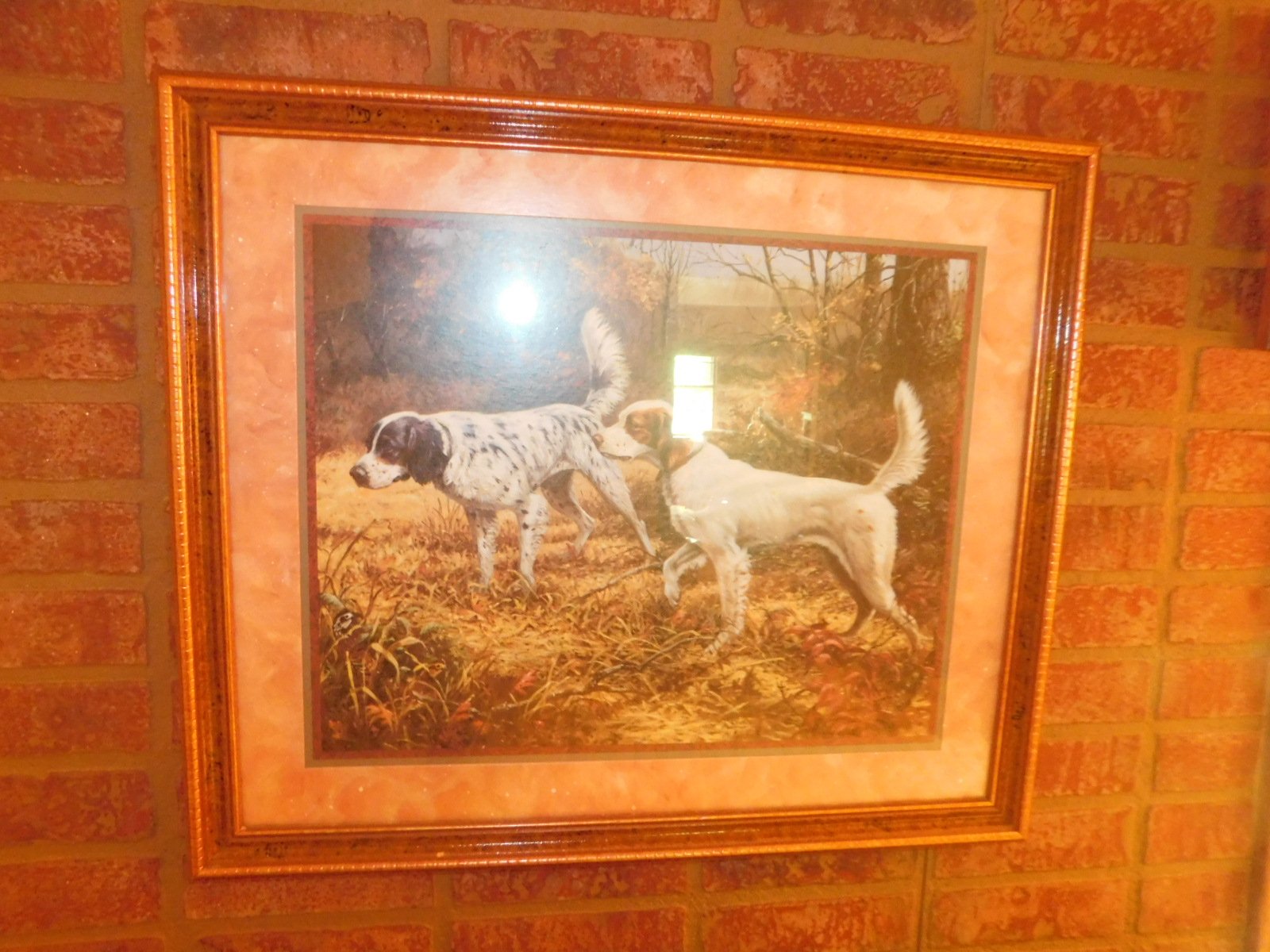 DSCN4670.JPG