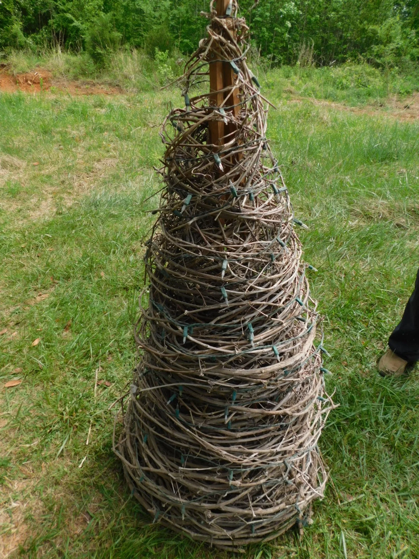DSCN4856.JPG