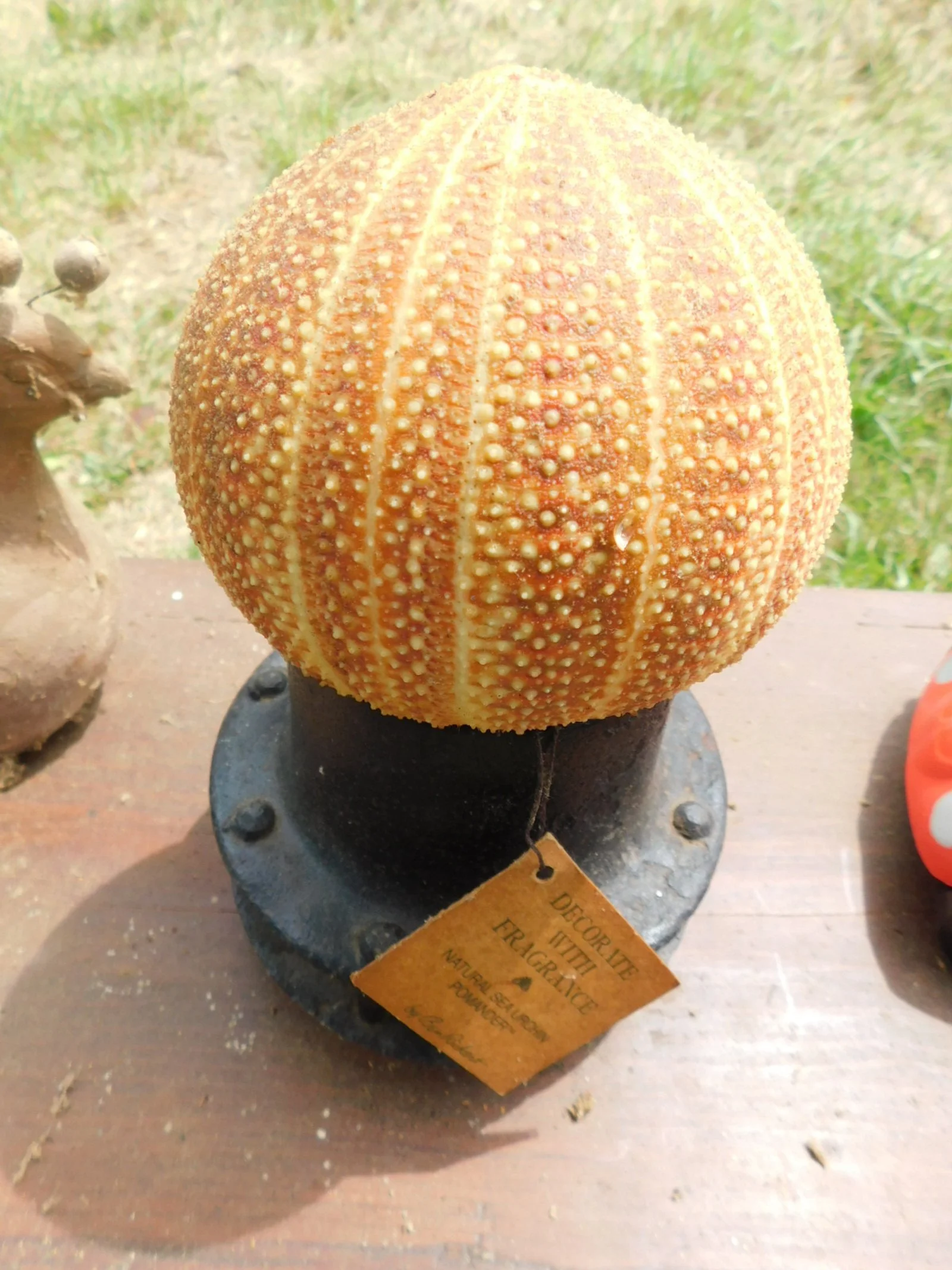 DSCN4868.JPG
