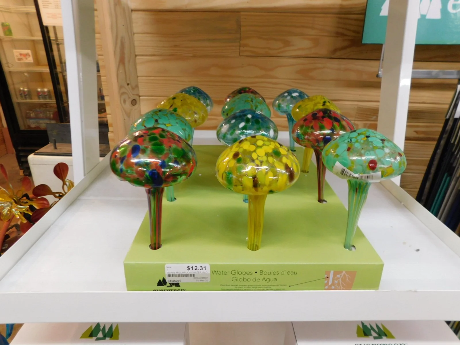 DSCN5018.JPG