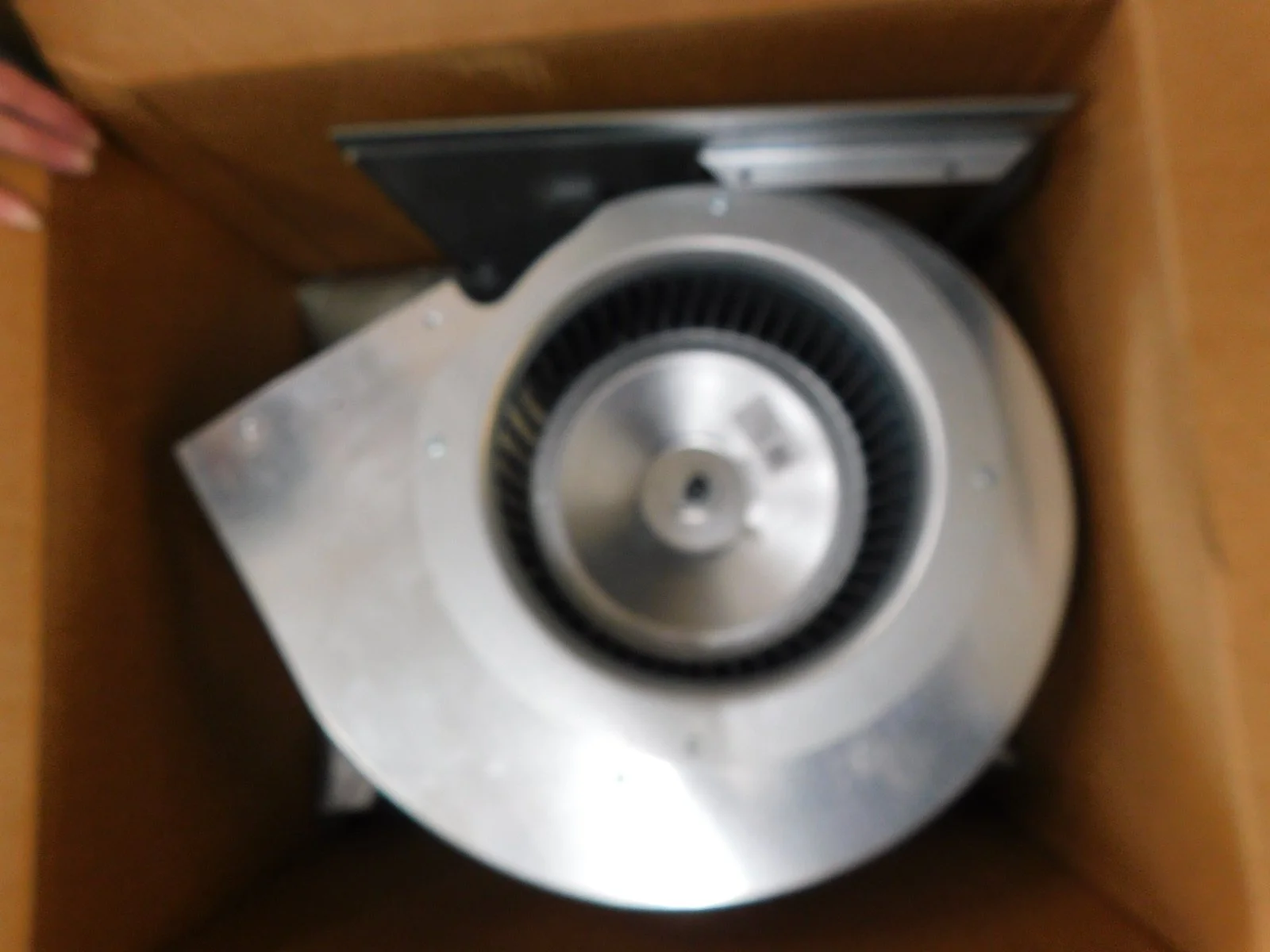 DSCN5064.JPG