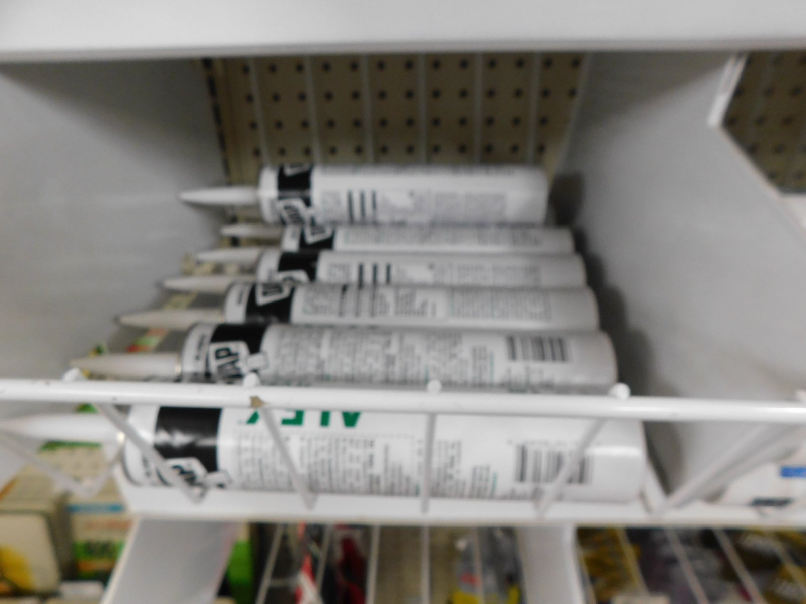DSCN5126.JPG