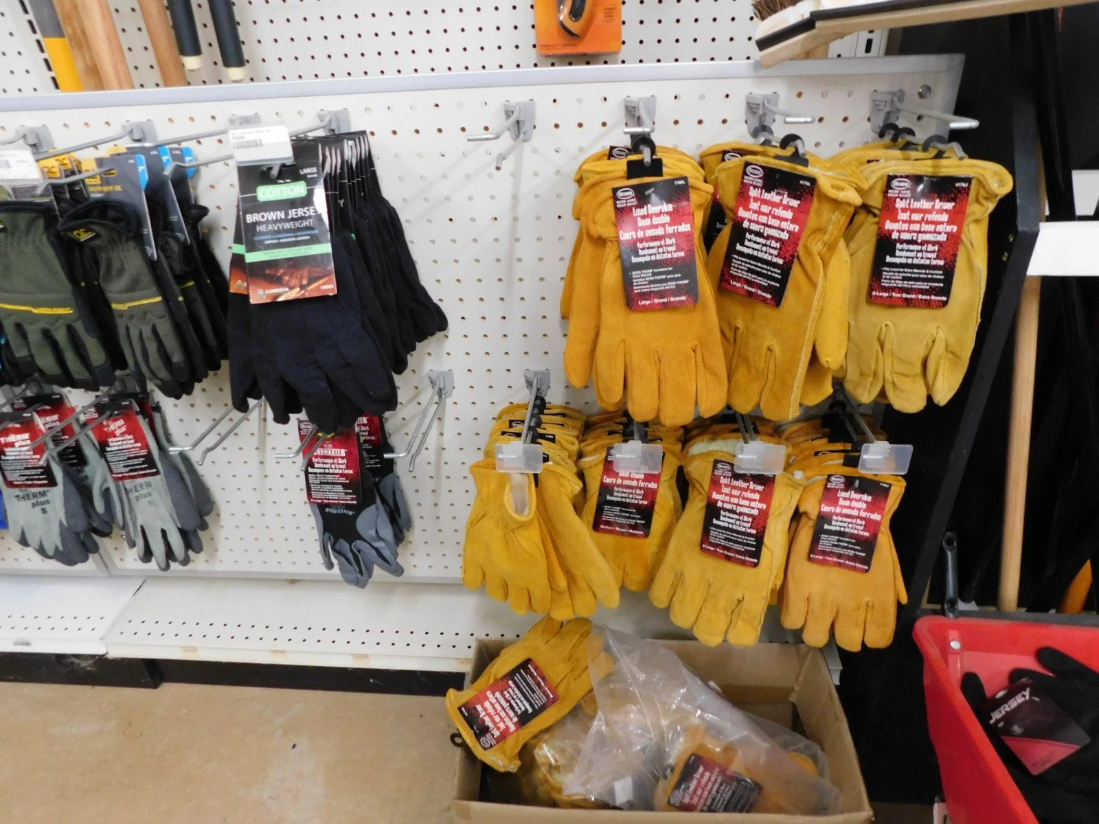DSCN5175.JPG
