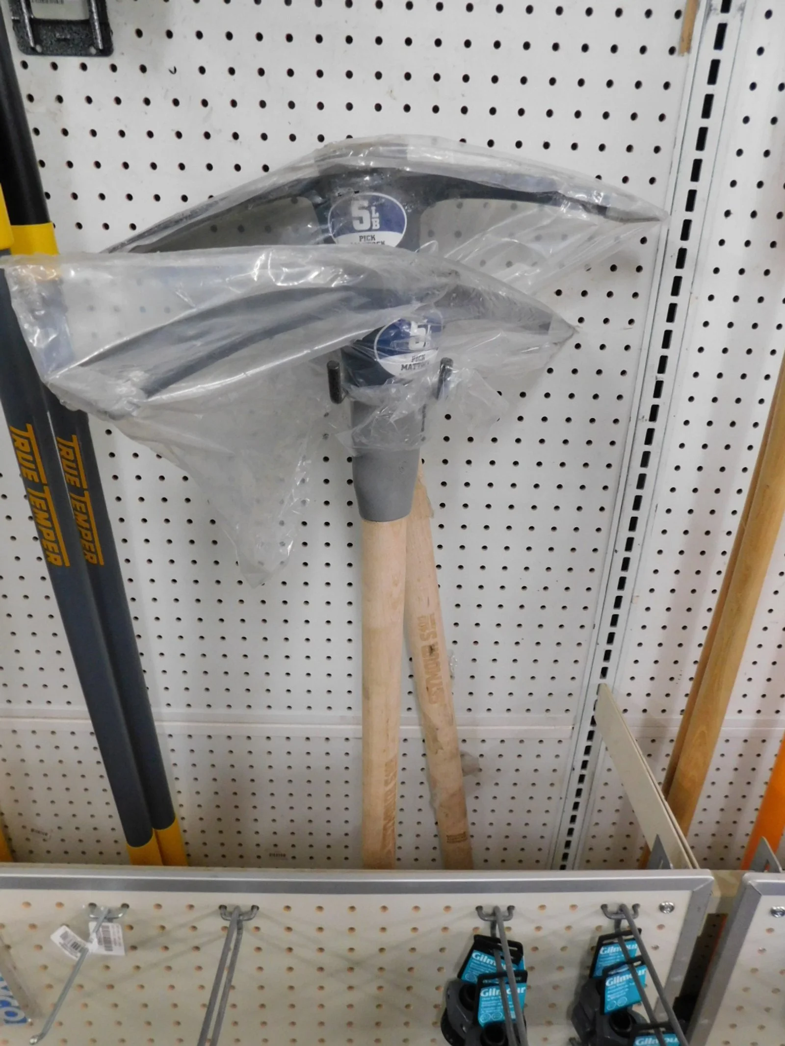 DSCN5183.JPG