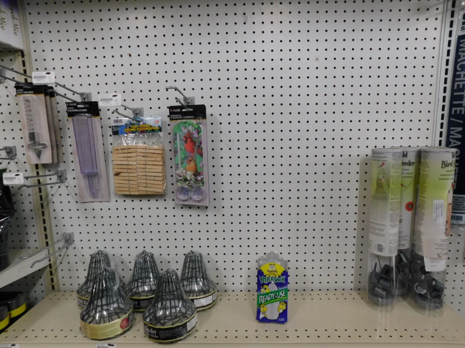 DSCN5190.JPG