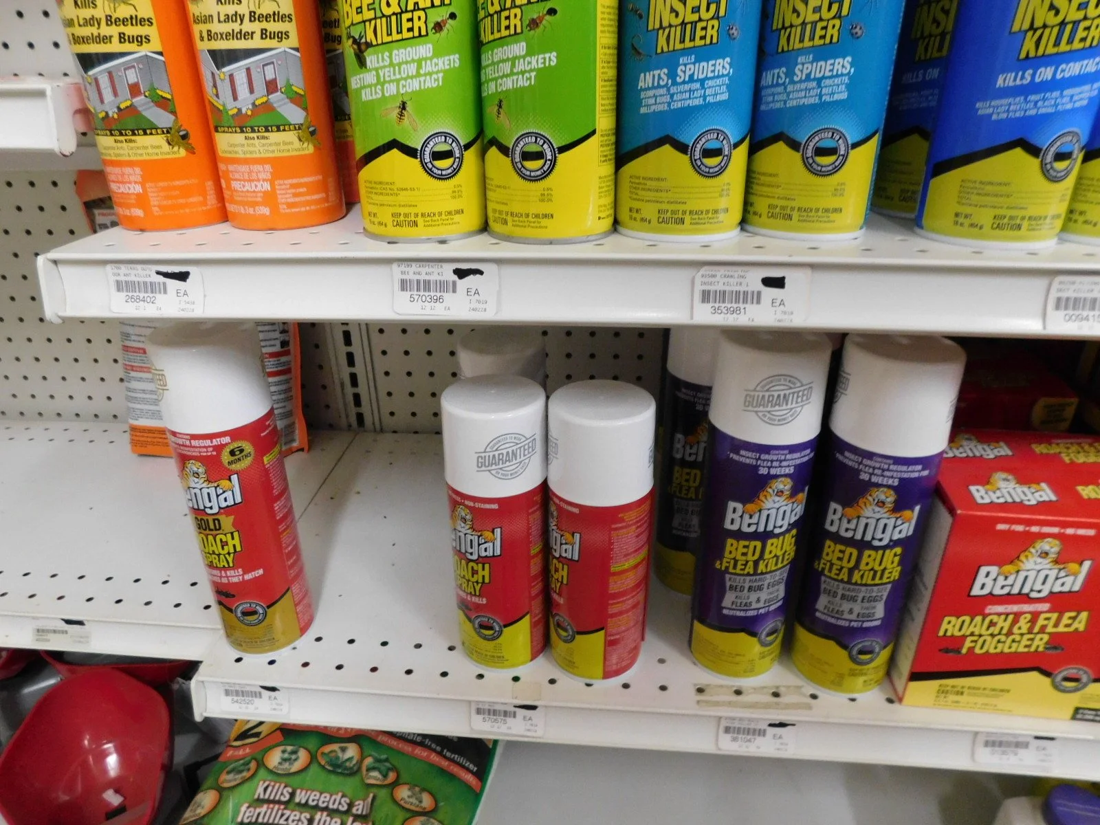DSCN5194.JPG