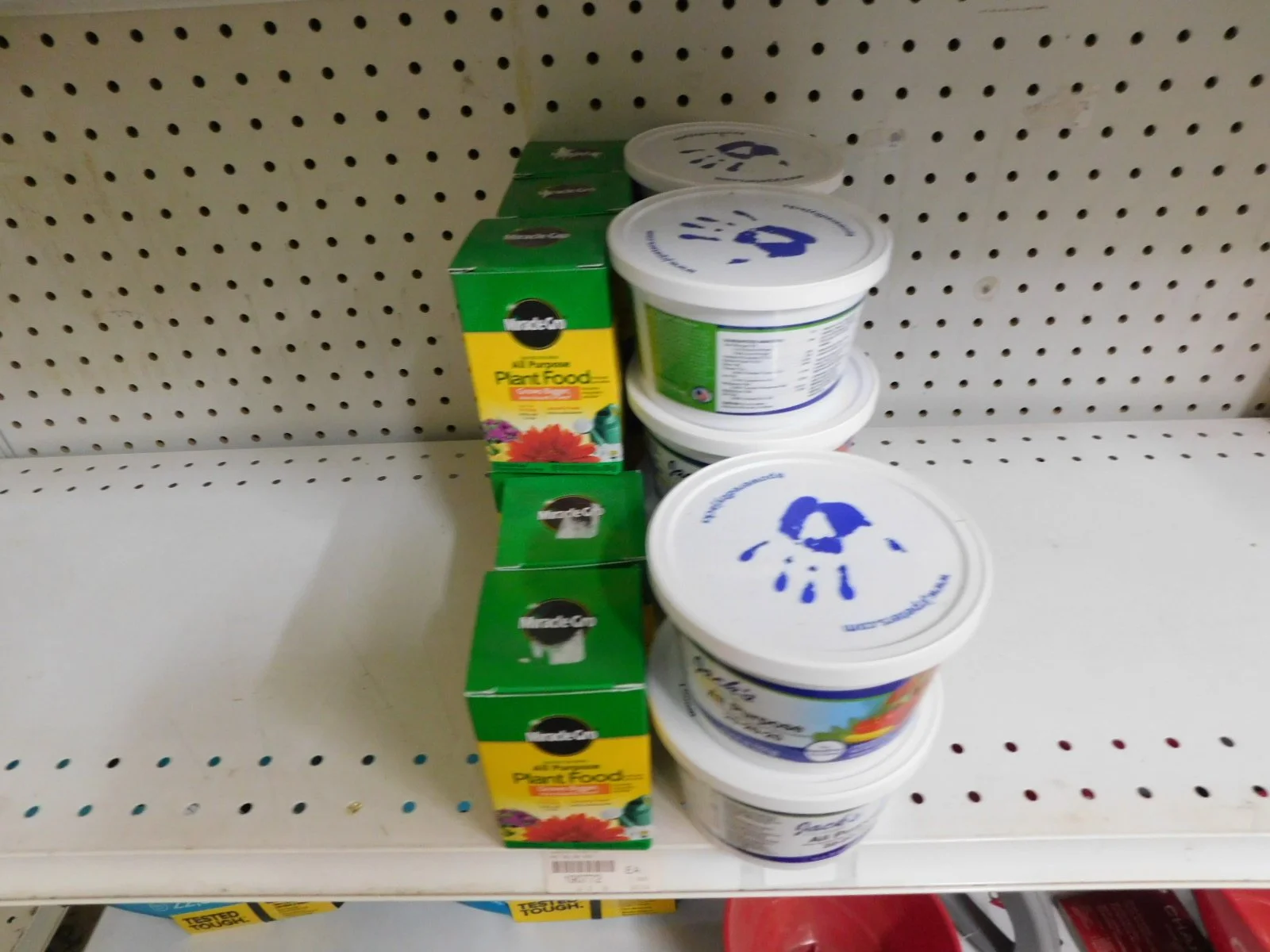 DSCN5199.JPG