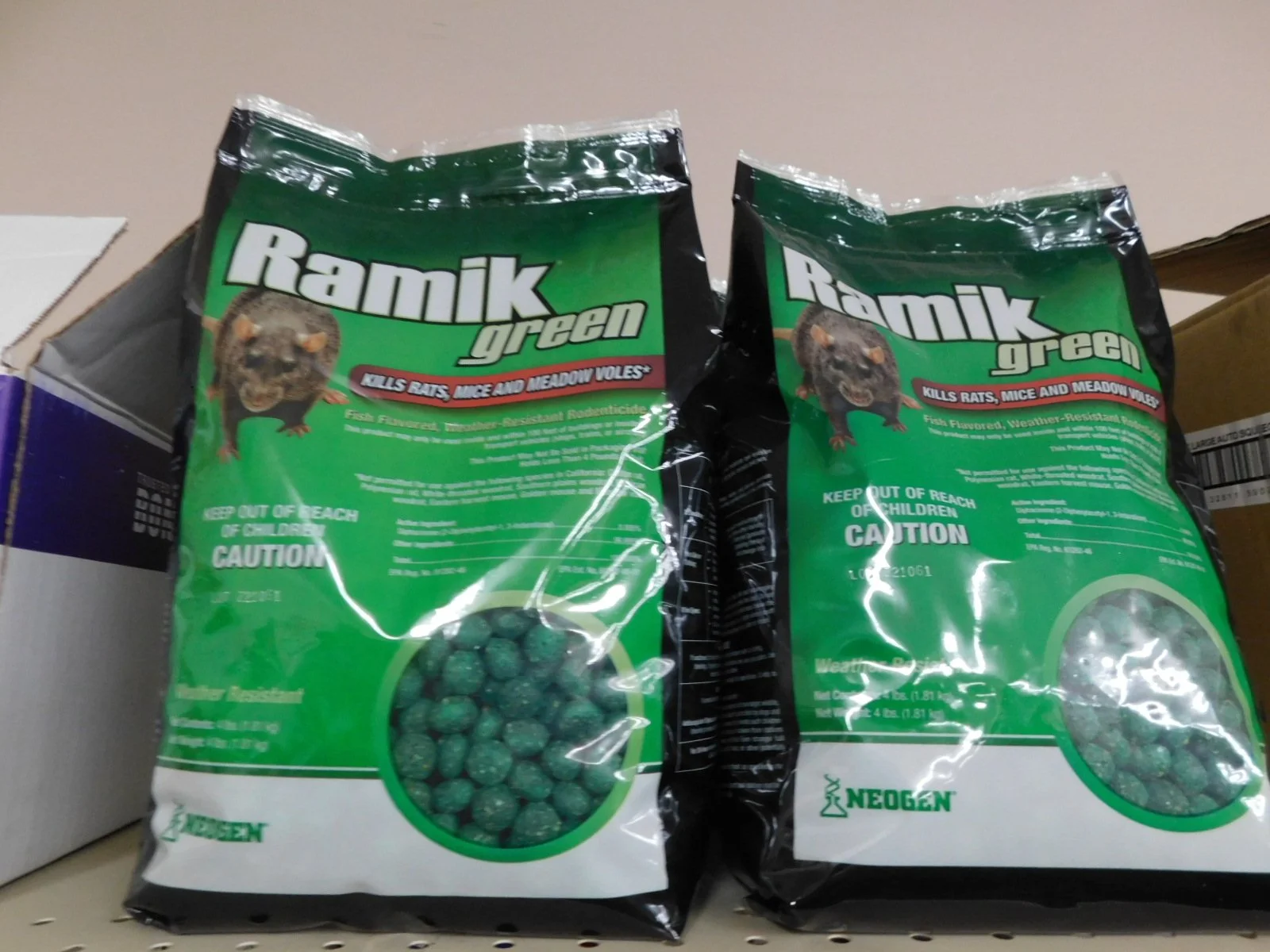 DSCN5205.JPG