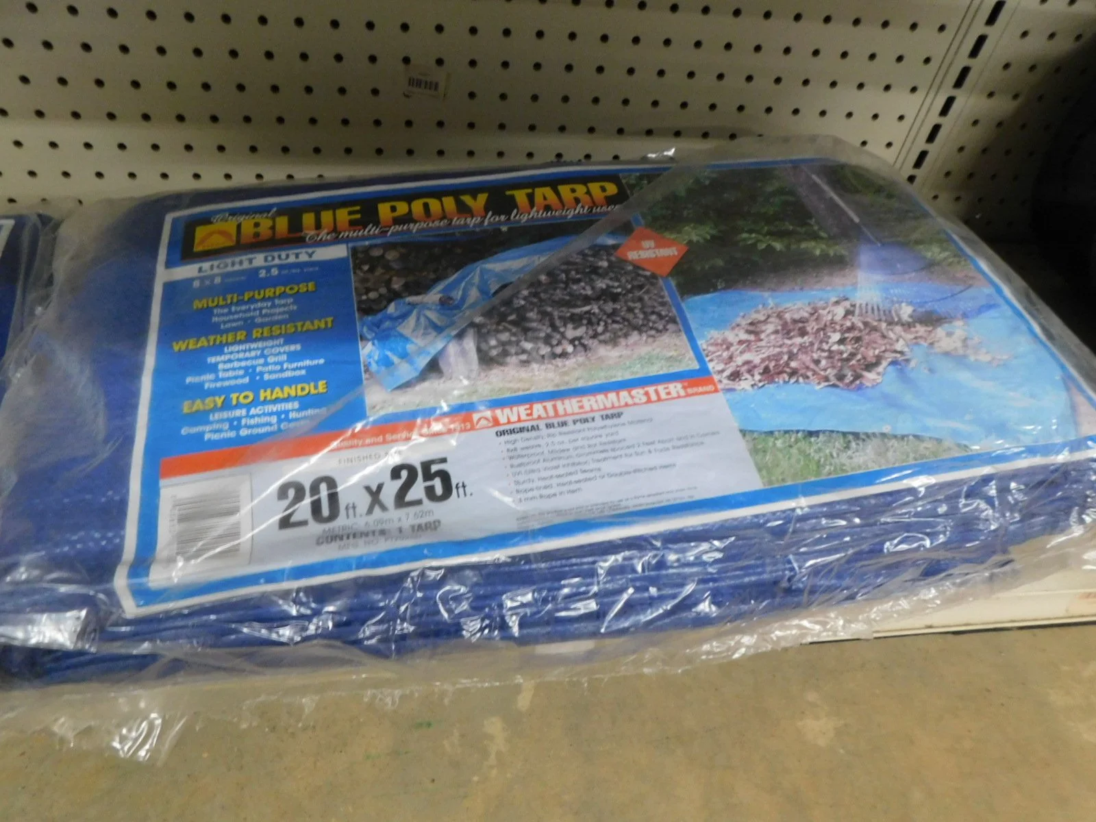 DSCN5333.JPG