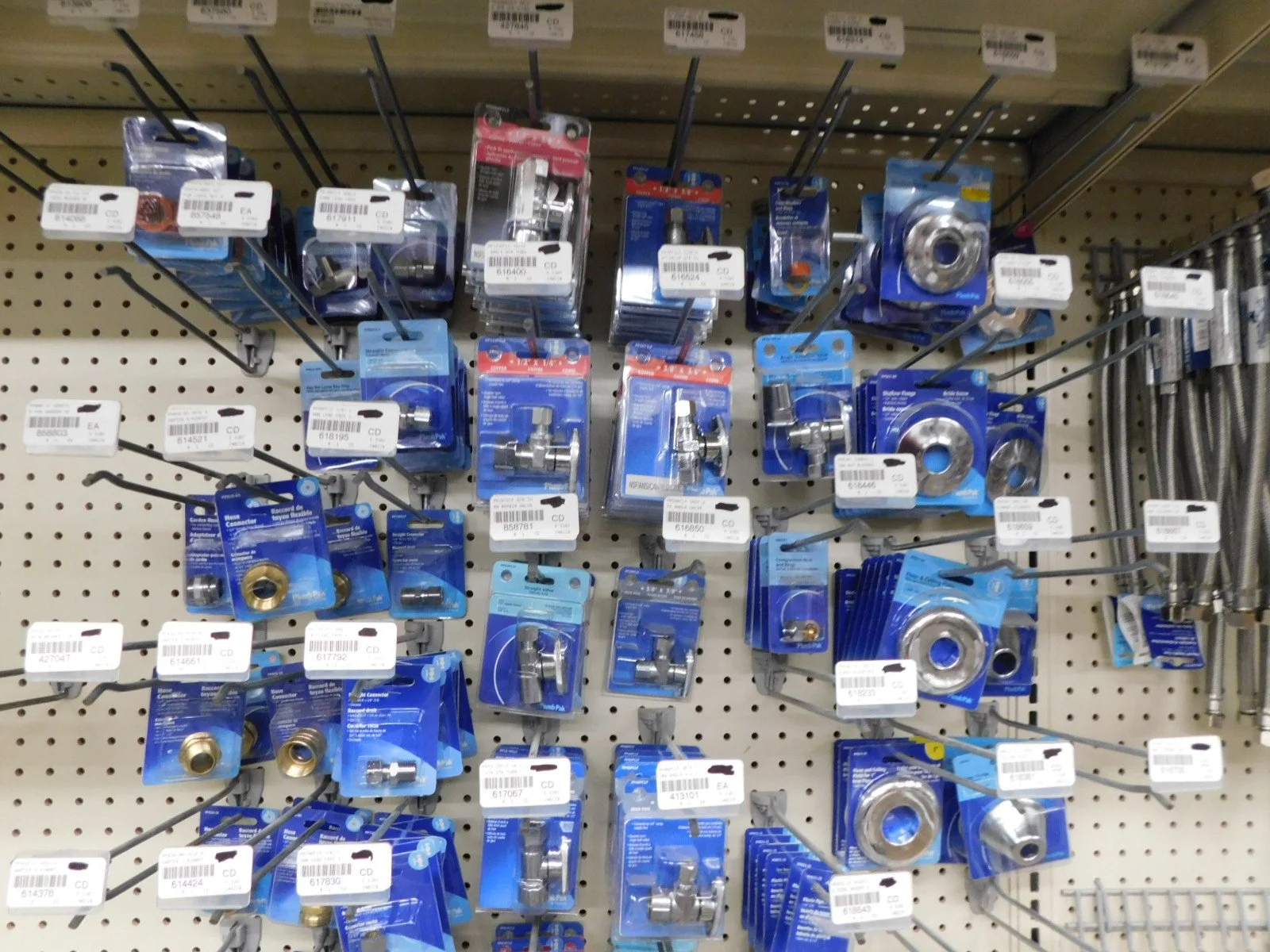 DSCN5402.JPG