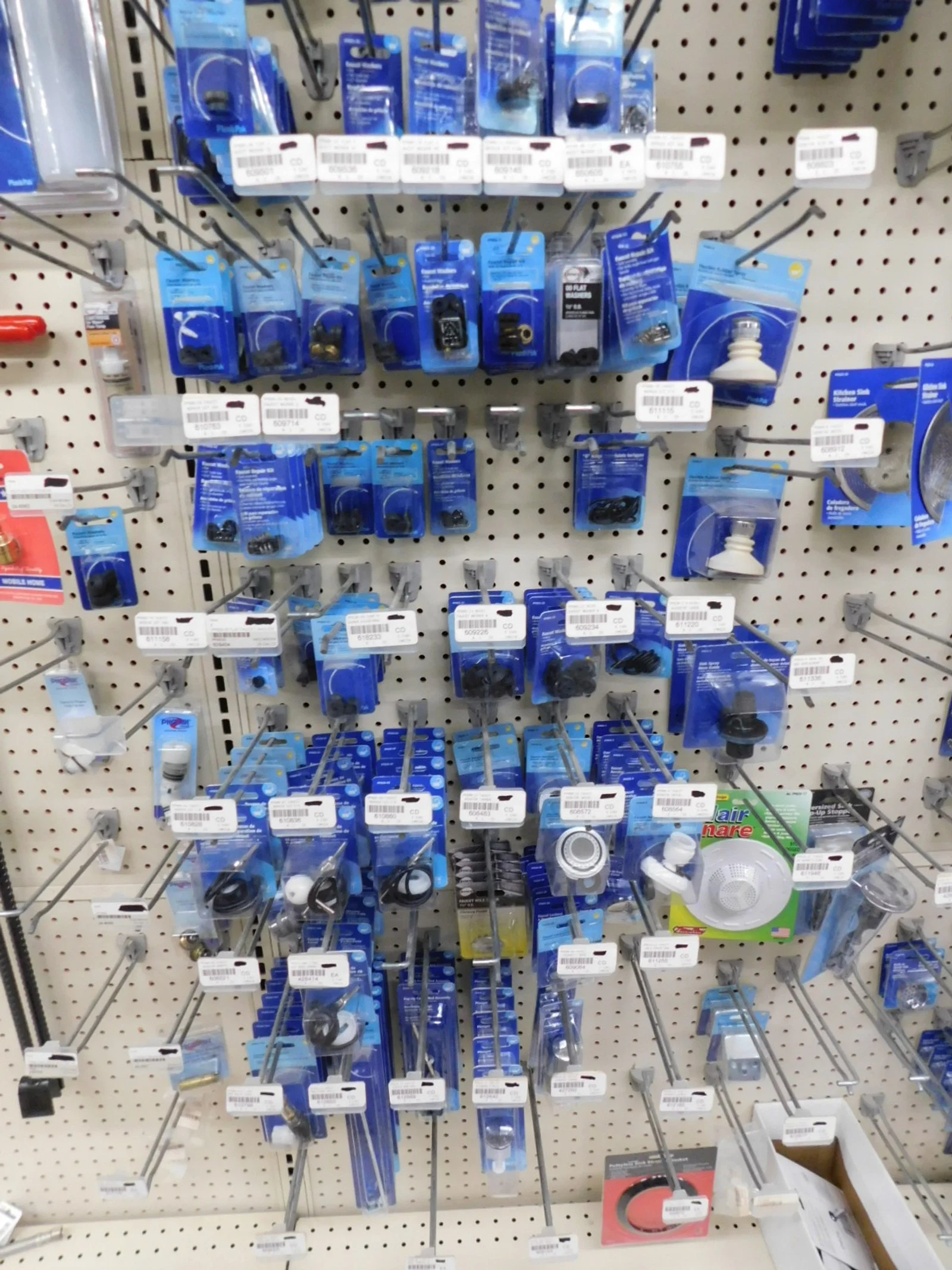 DSCN5409.JPG