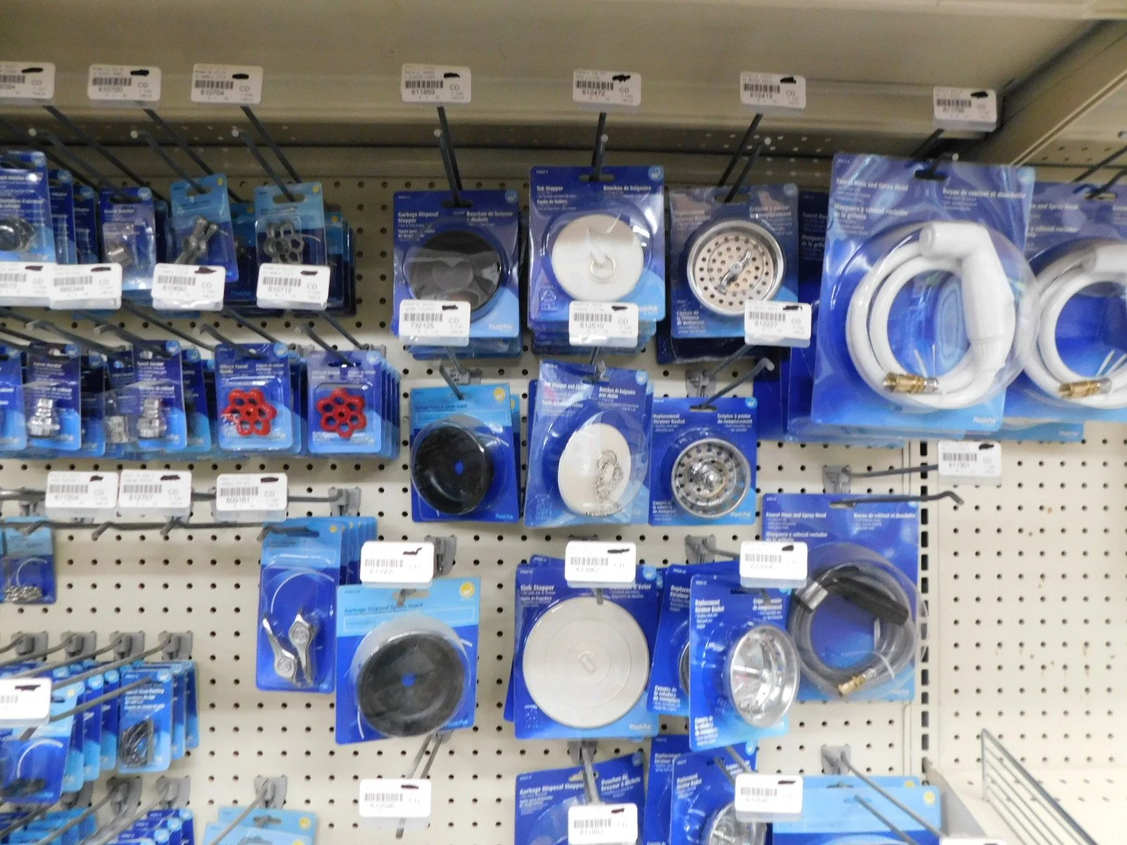 DSCN5411.JPG