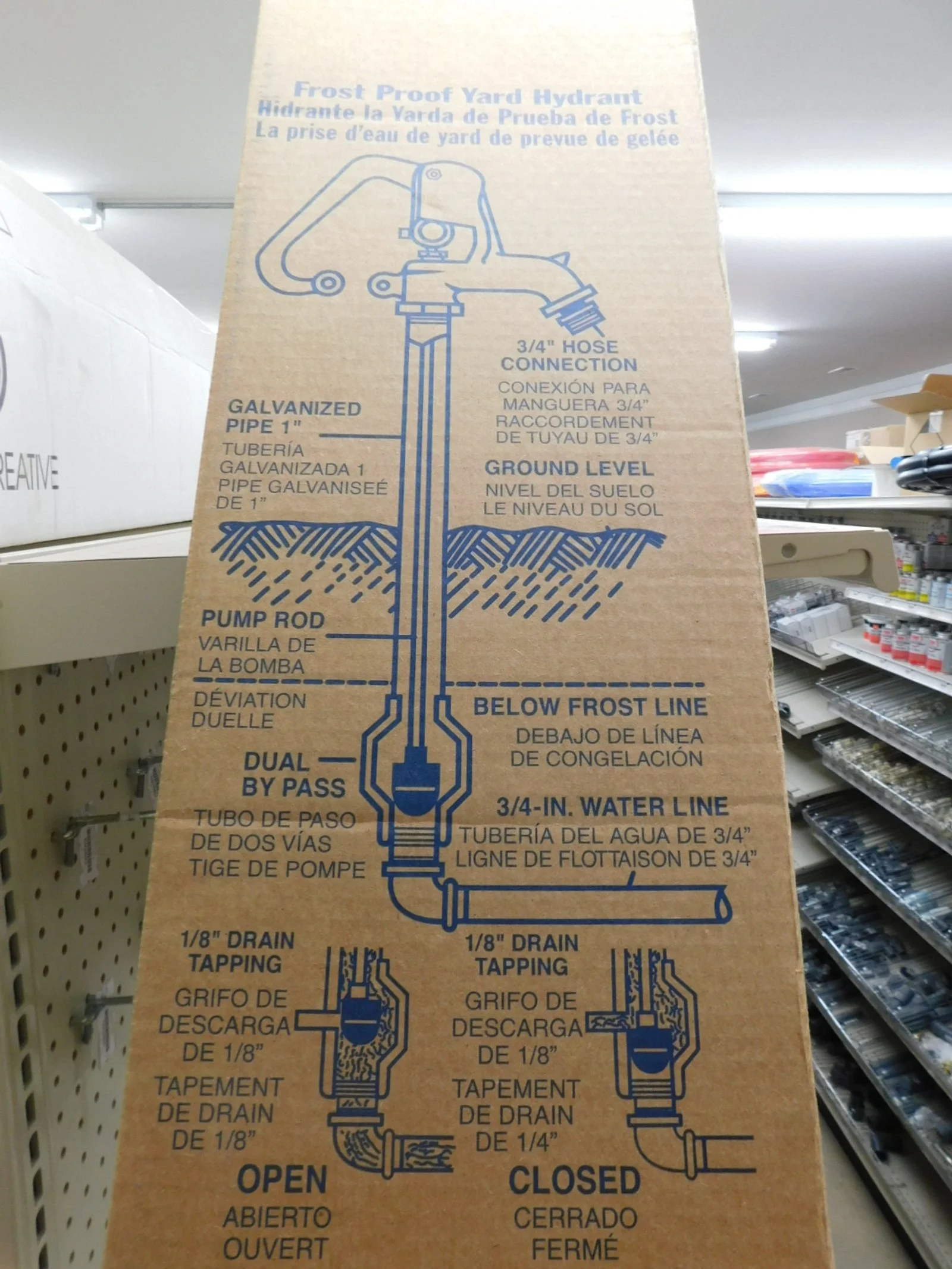 DSCN5602.JPG