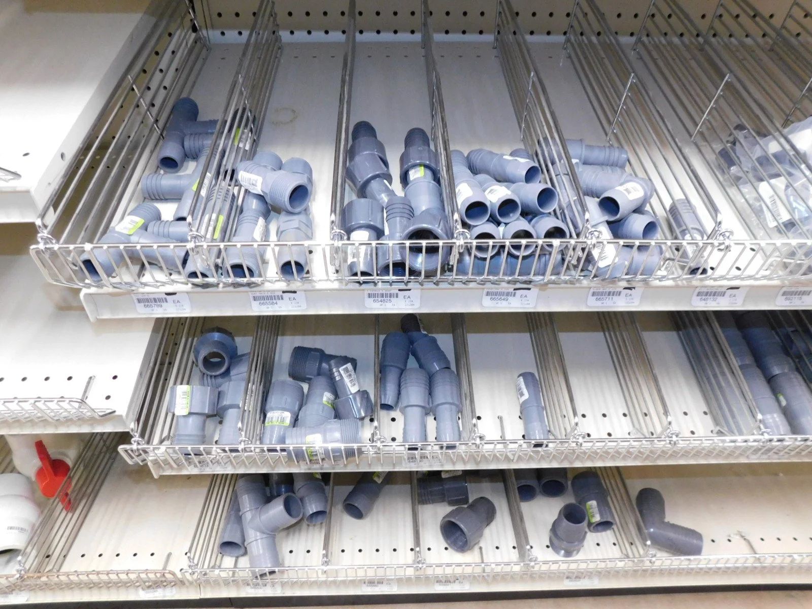 DSCN5628.JPG