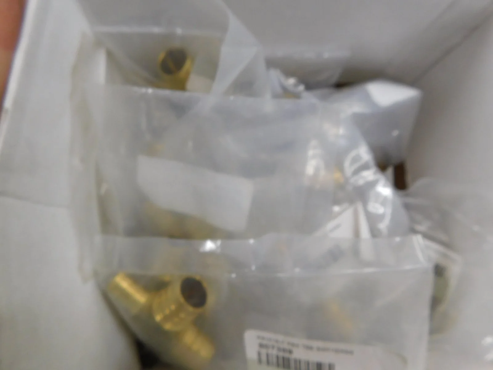 DSCN5657.JPG