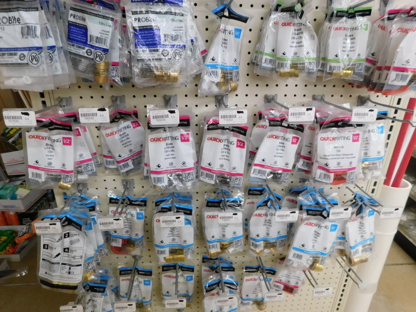 DSCN5674.JPG