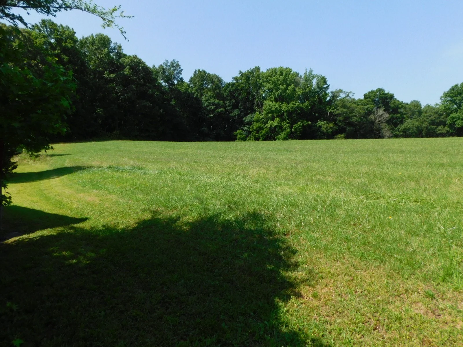 DSCN5764.JPG