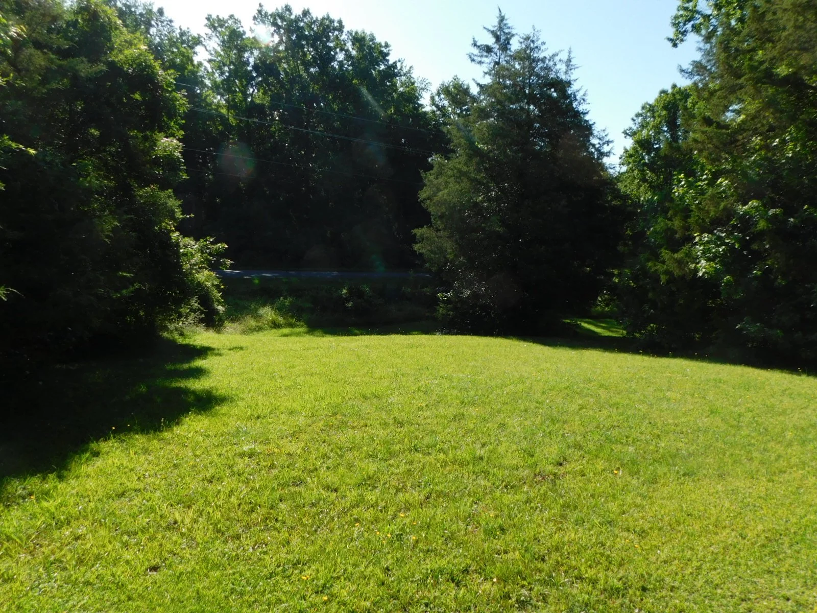 DSCN6206.JPG