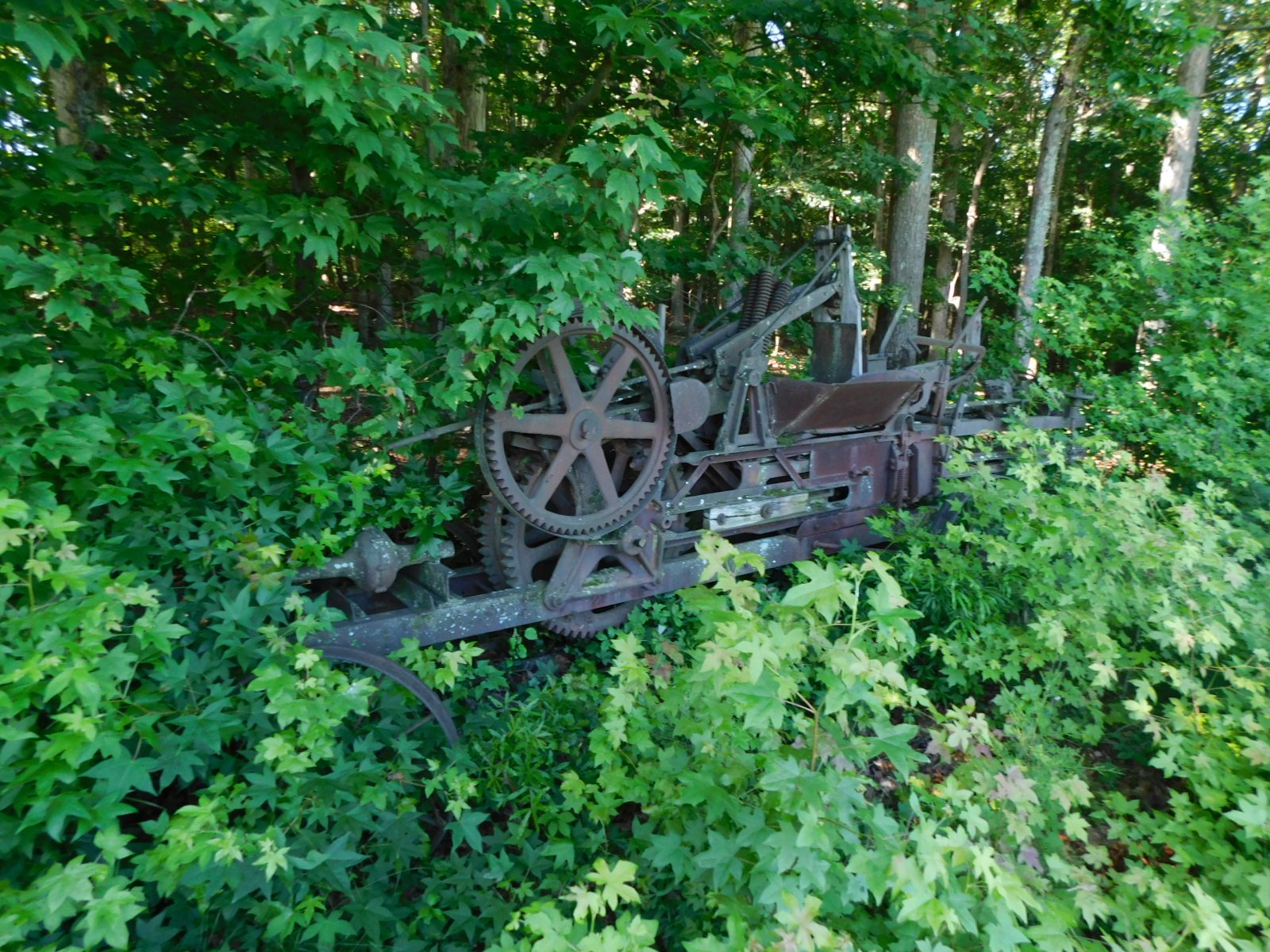 DSCN6280.JPG