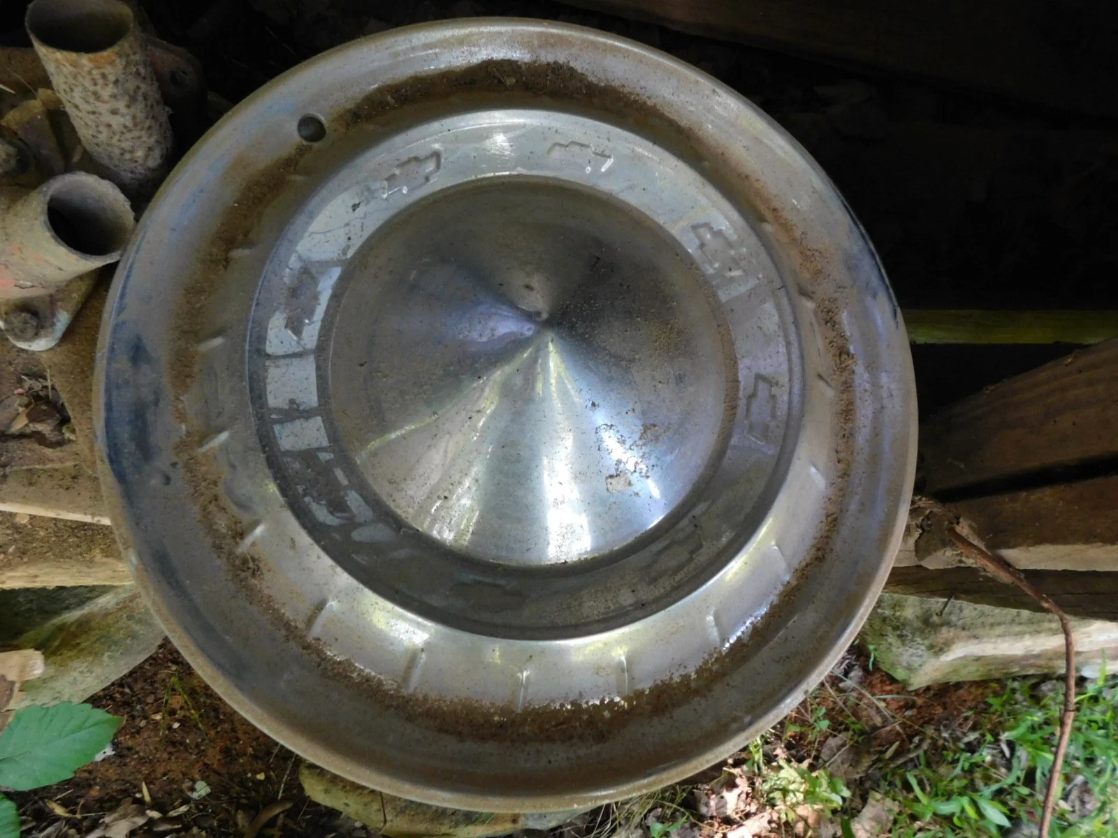 DSCN6294.JPG