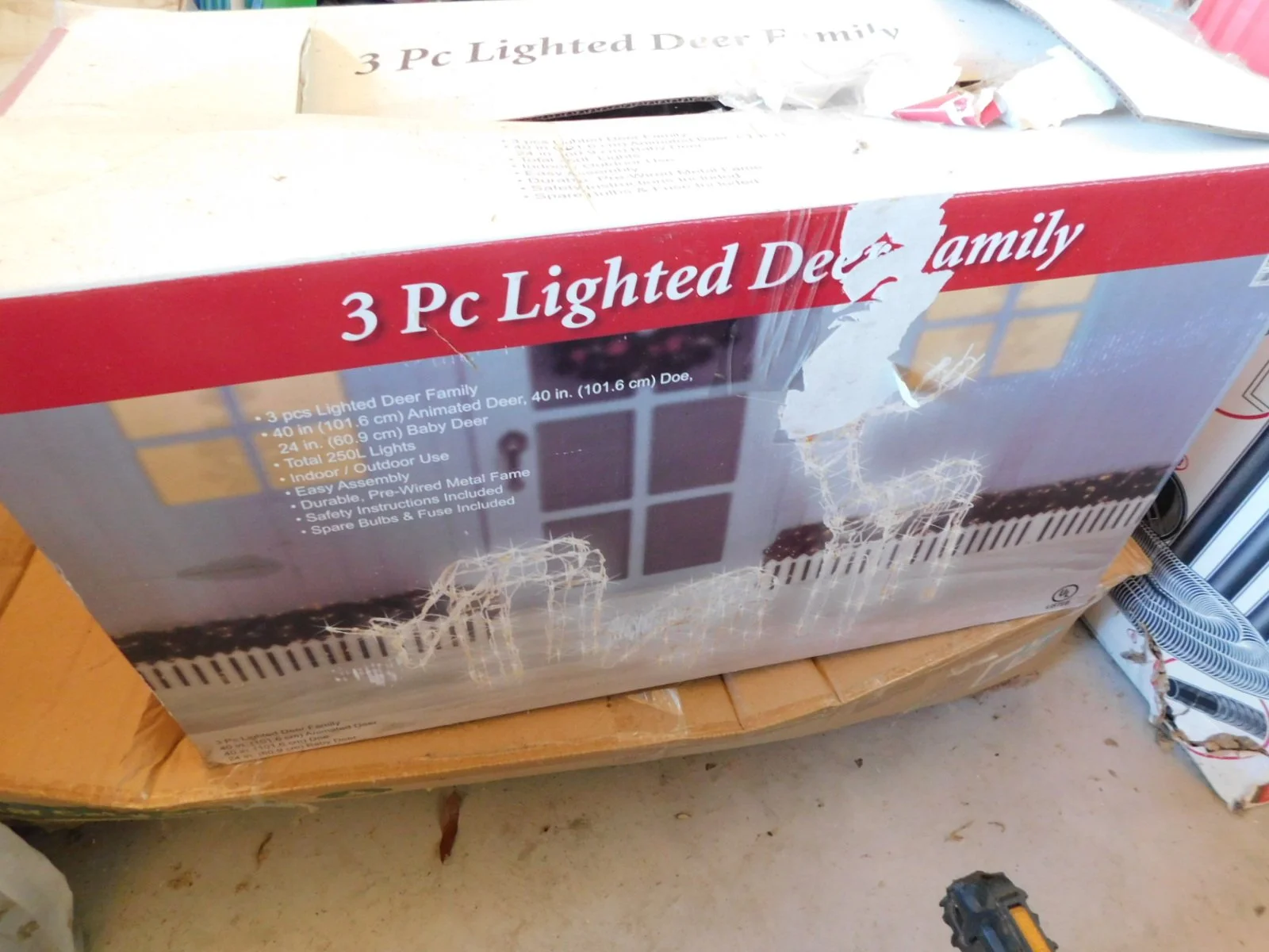 DSCN7298.JPG