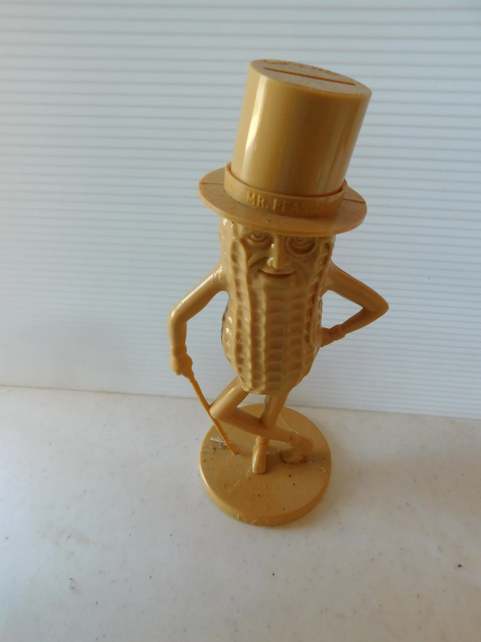 DSCN7321.JPG