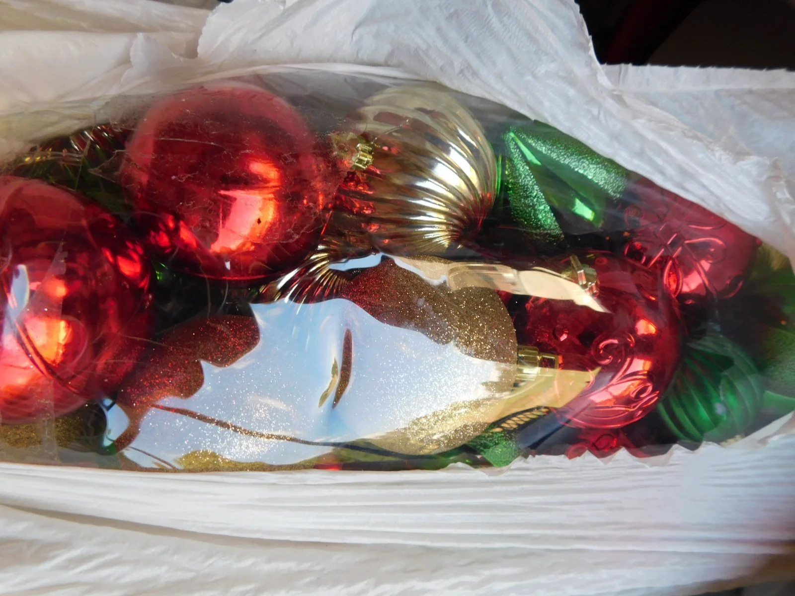 DSCN7364.JPG