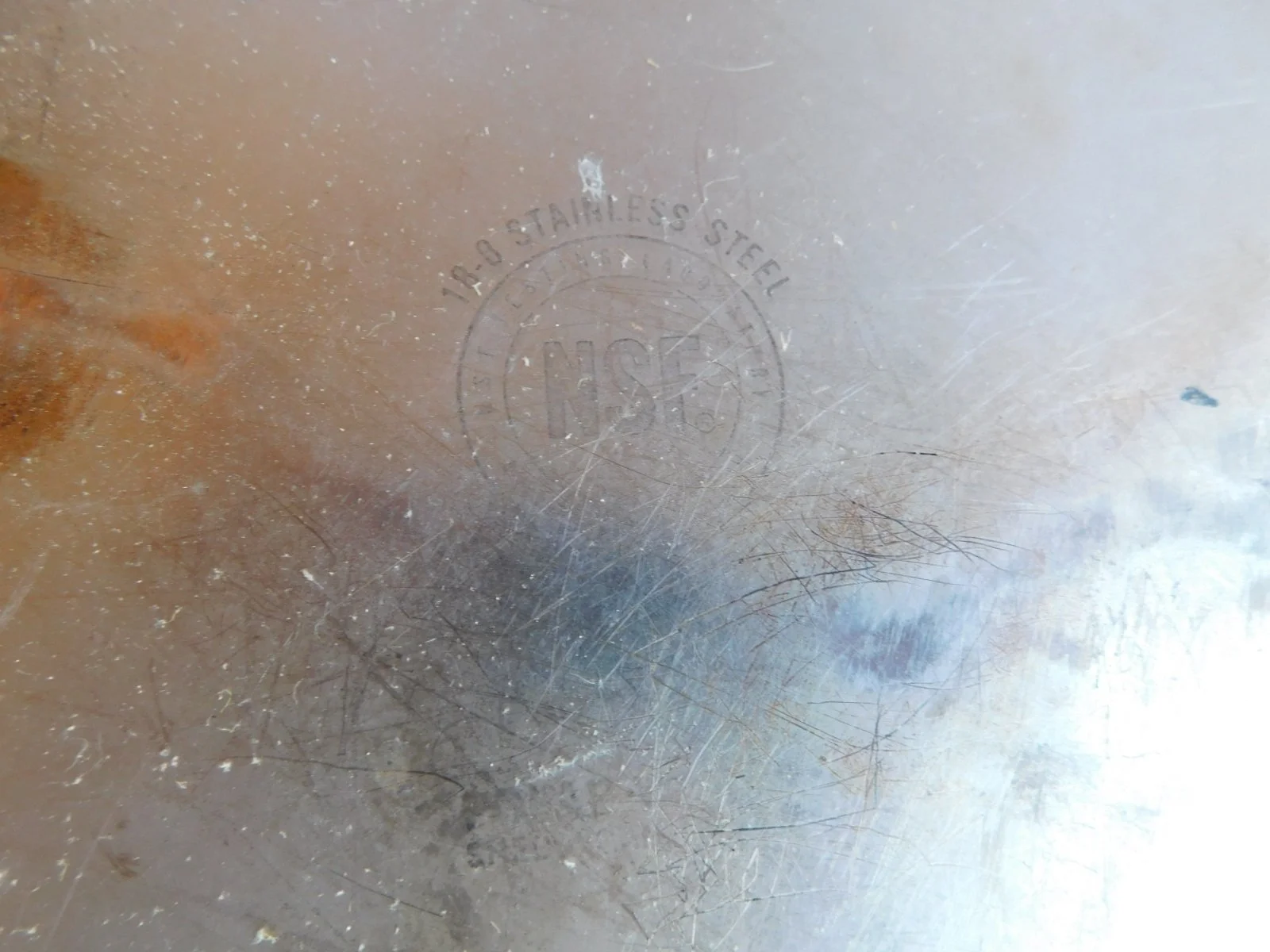 DSCN7380.JPG