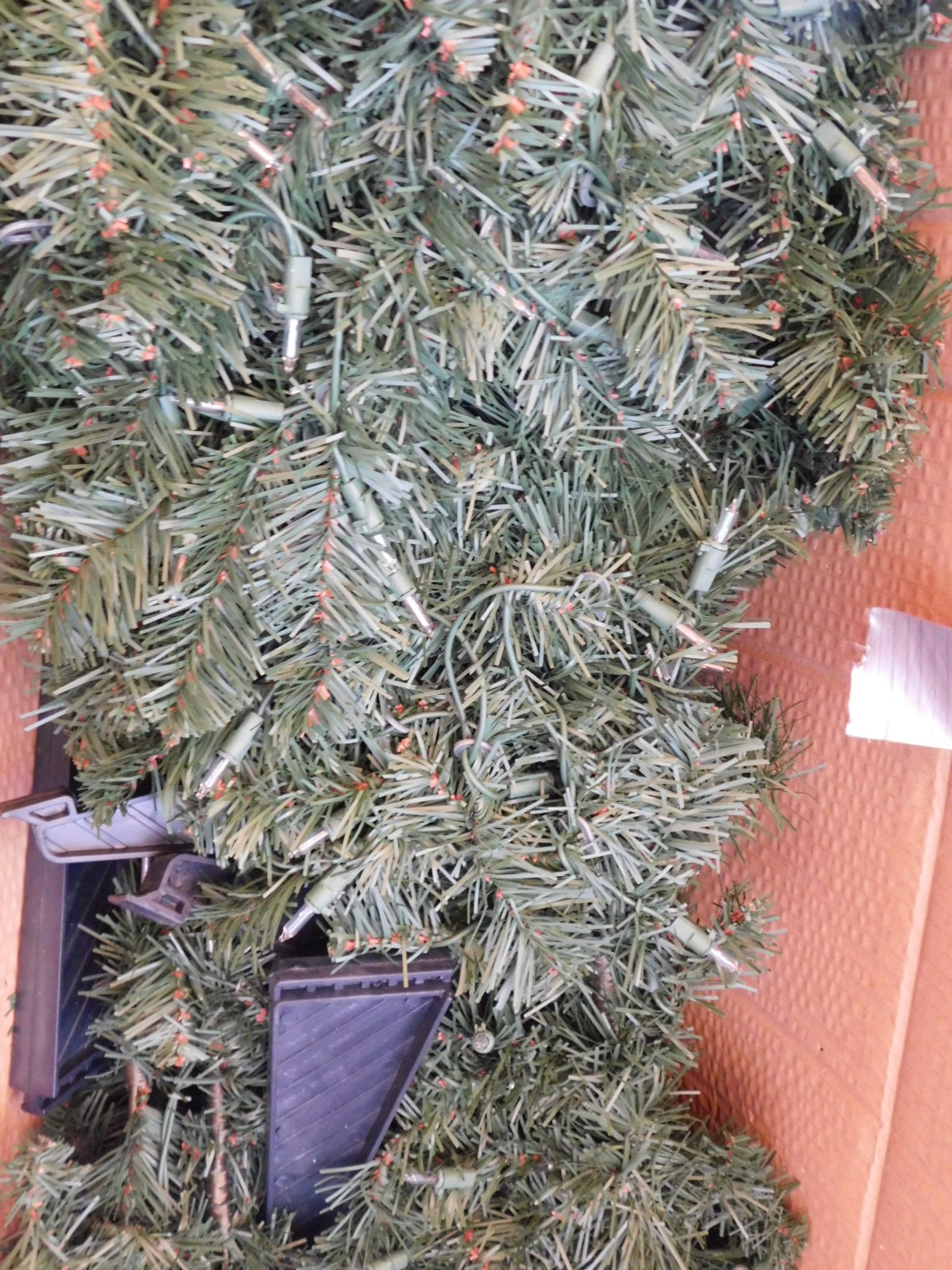 DSCN7387.JPG