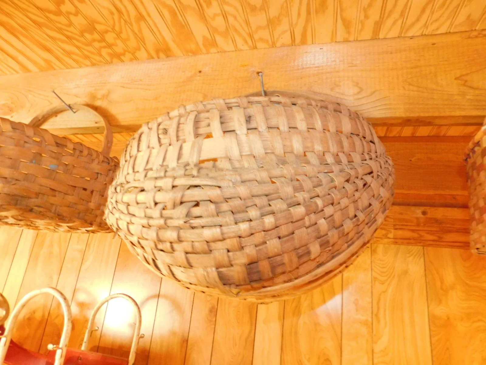 DSCN7551.JPG