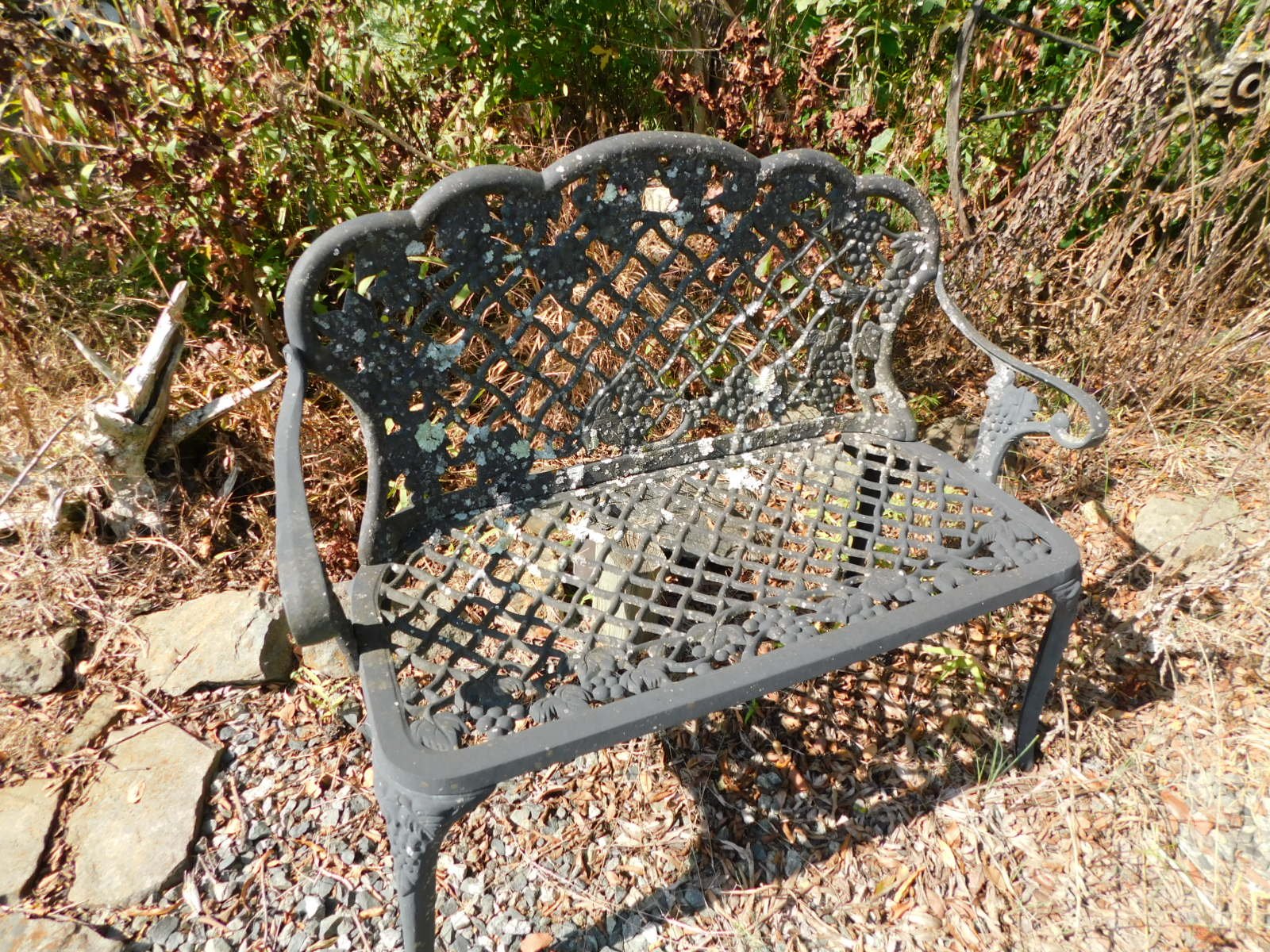 DSCN7567.JPG