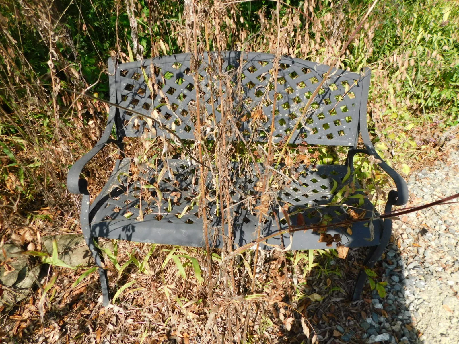 DSCN7568.JPG