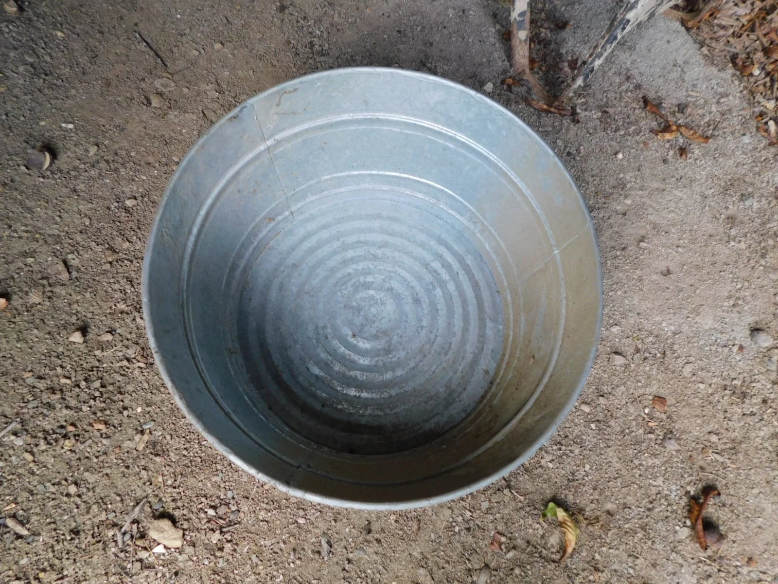DSCN7890.JPG