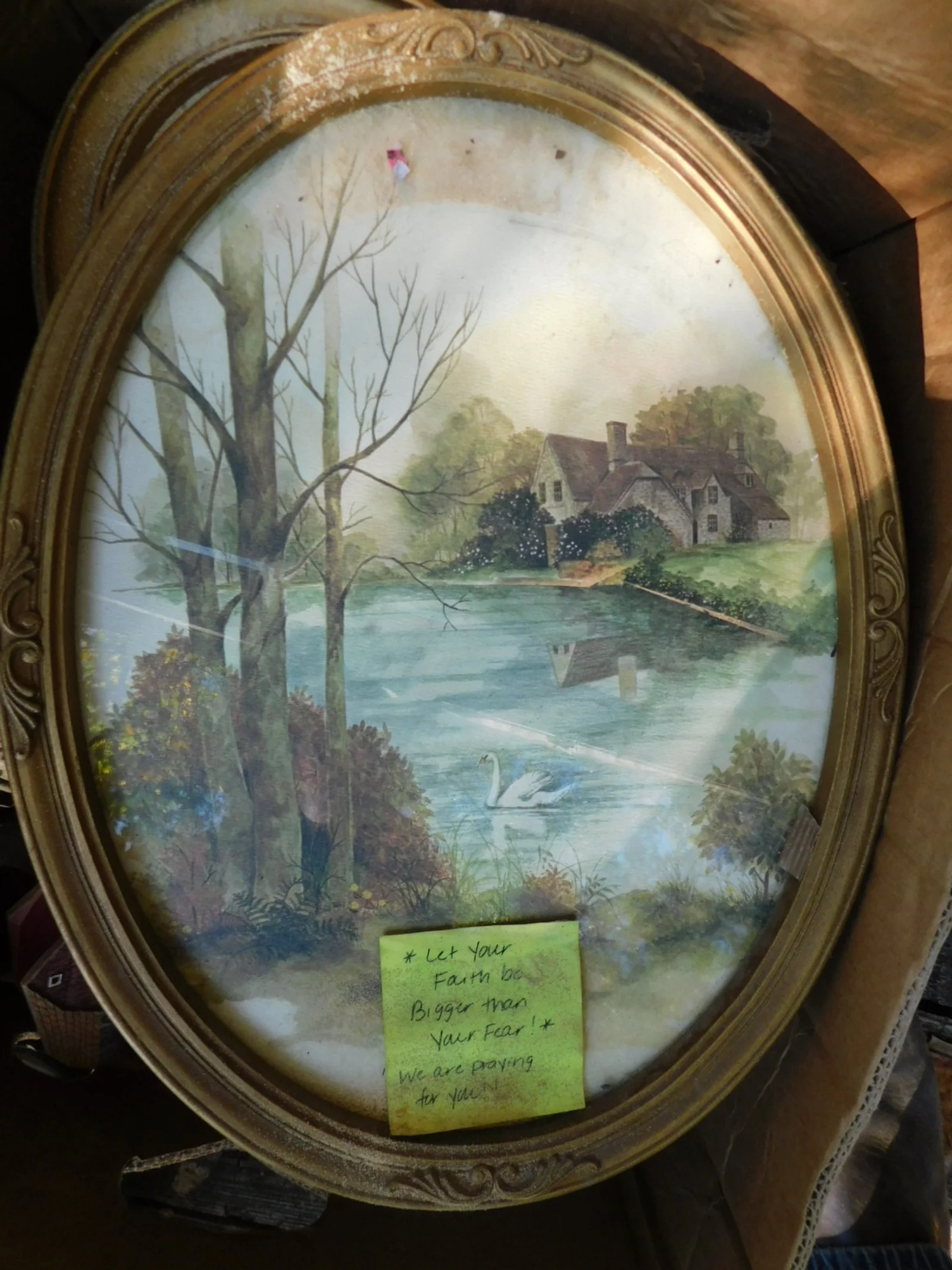 DSCN8154.JPG