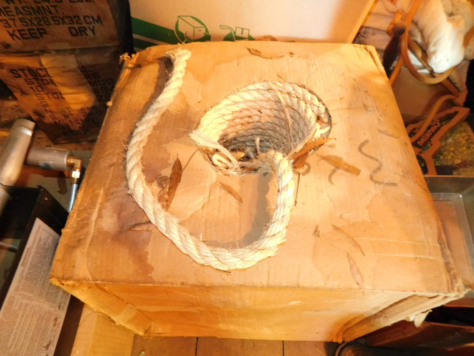 DSCN8159.JPG