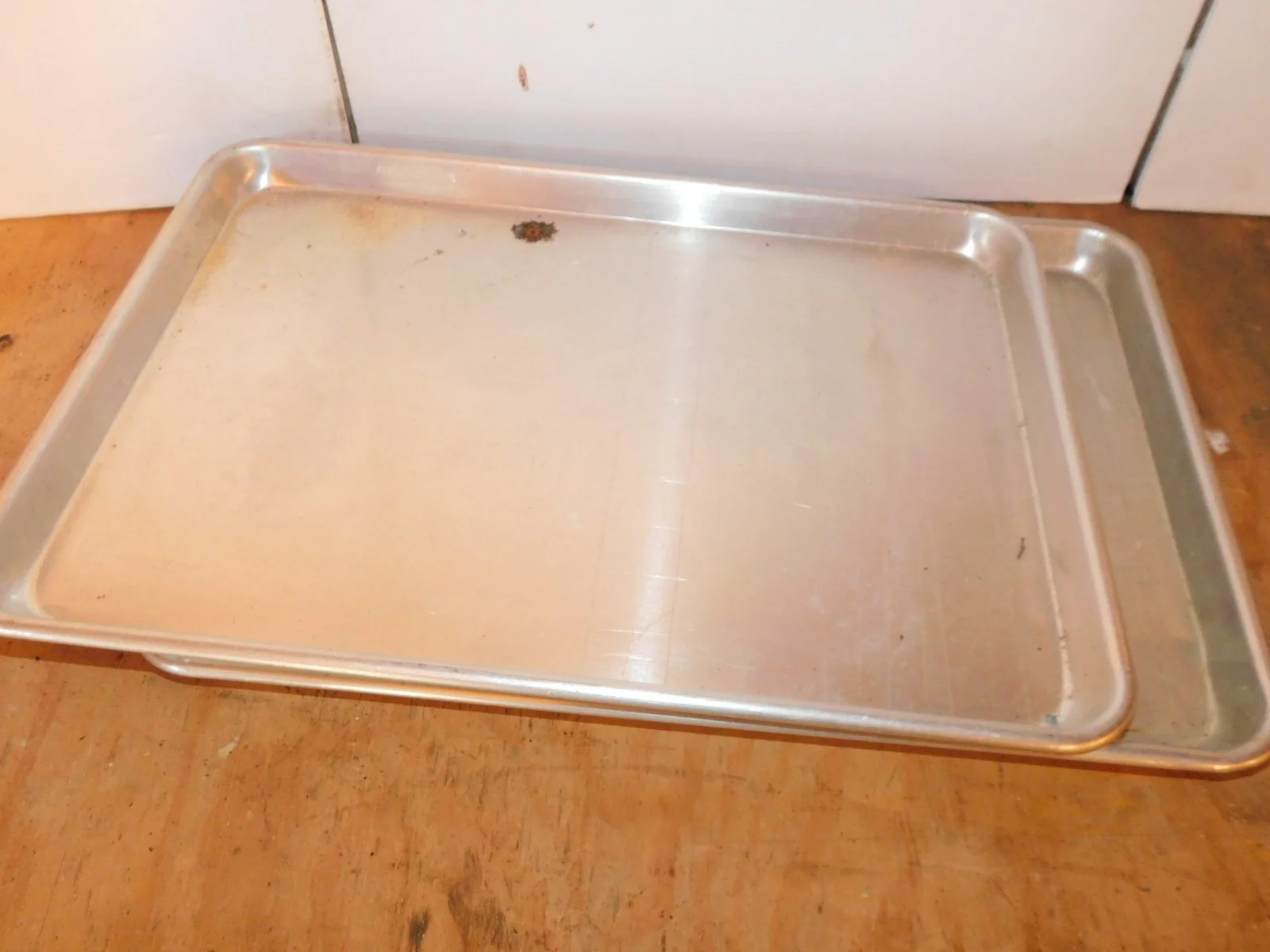 DSCN8218.JPG