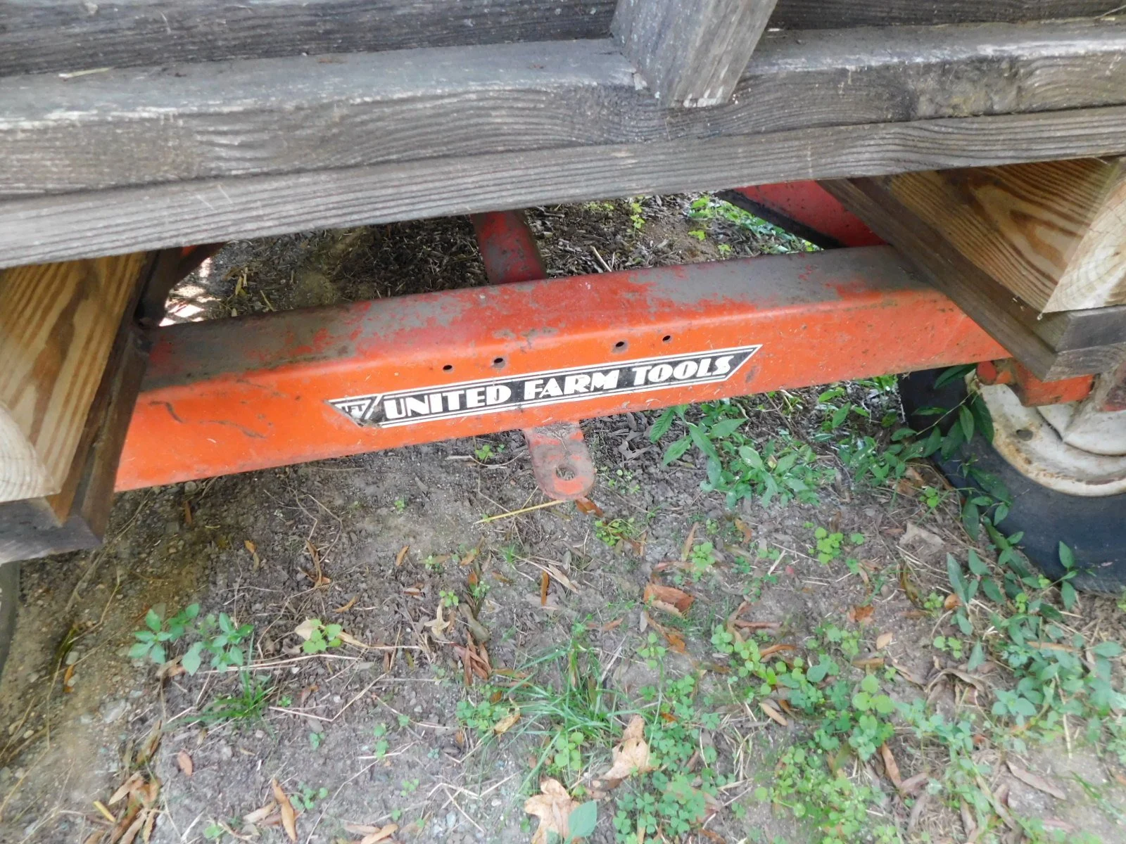 DSCN8411.JPG