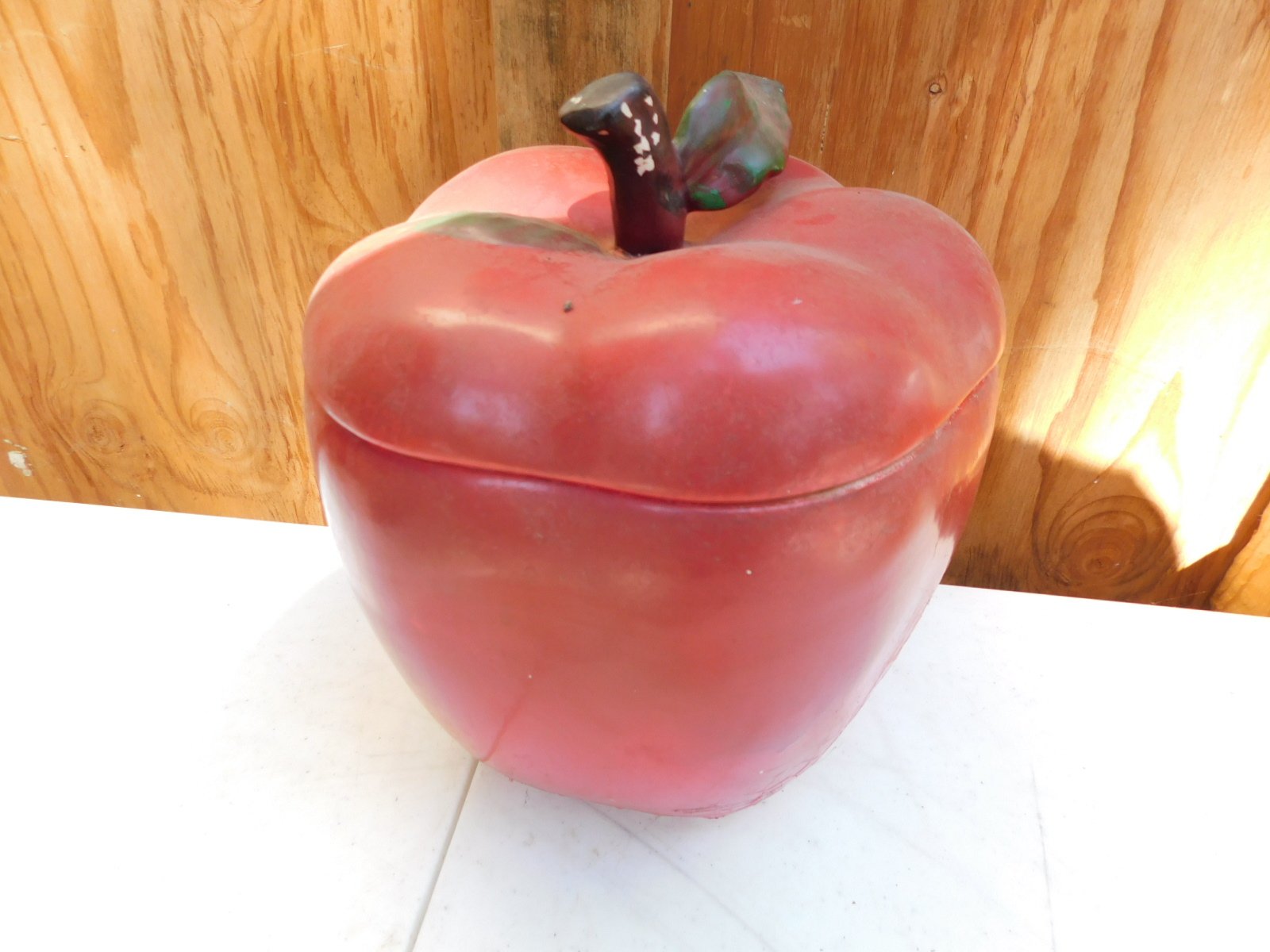 DSCN8537.JPG