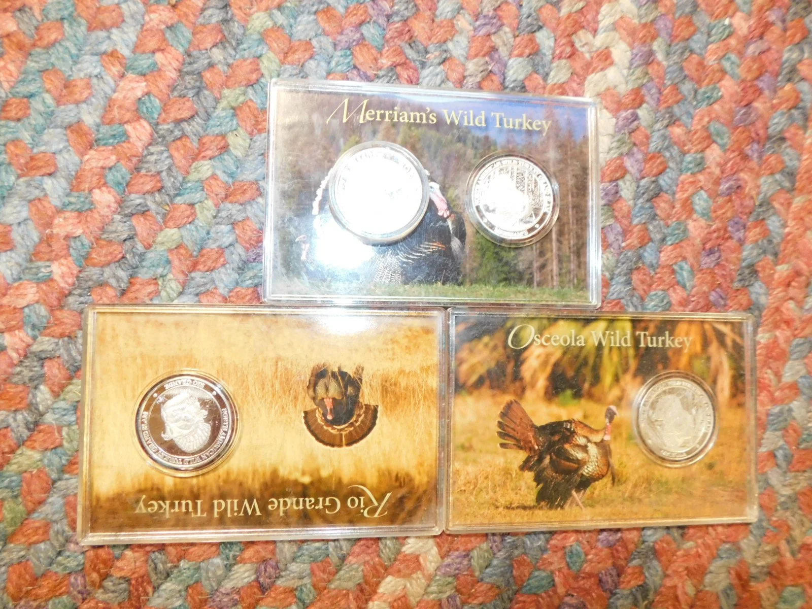 DSCN8607.JPG