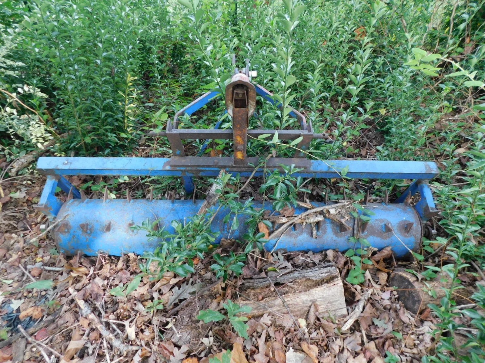 DSCN8848.JPG