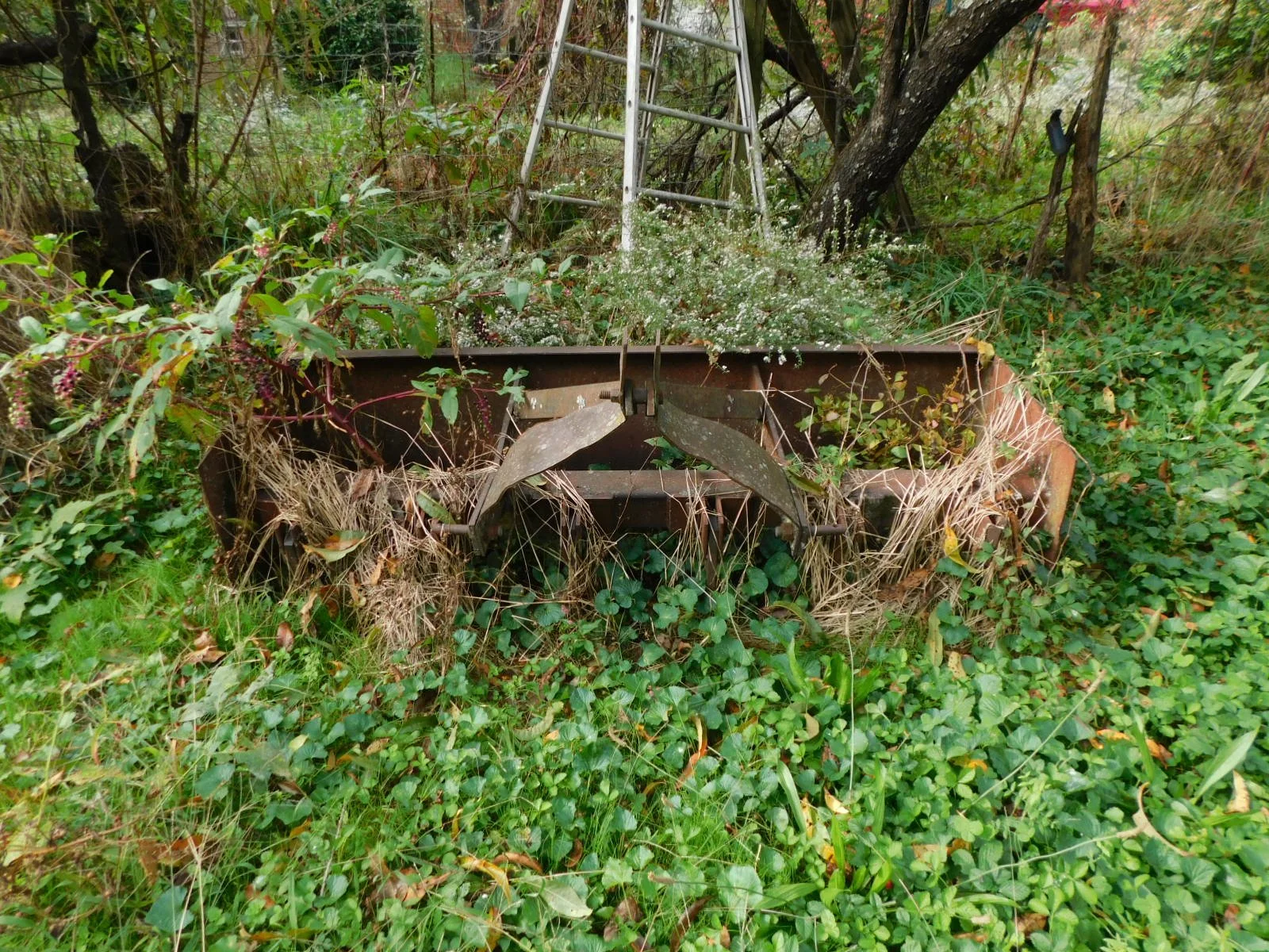 DSCN8862.JPG