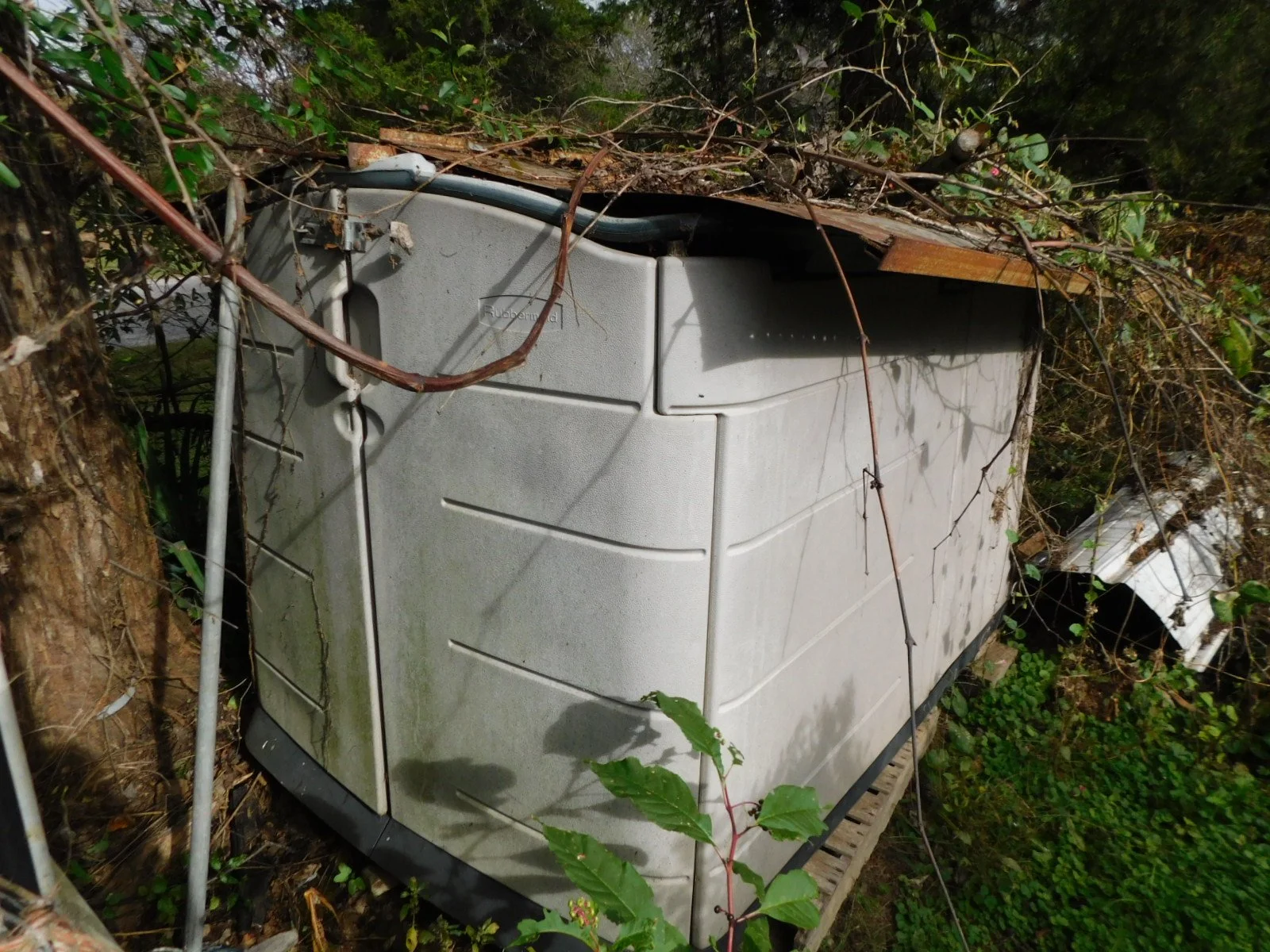 DSCN8865.JPG