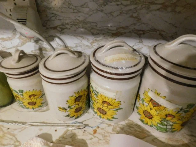 DSCN9228.JPG