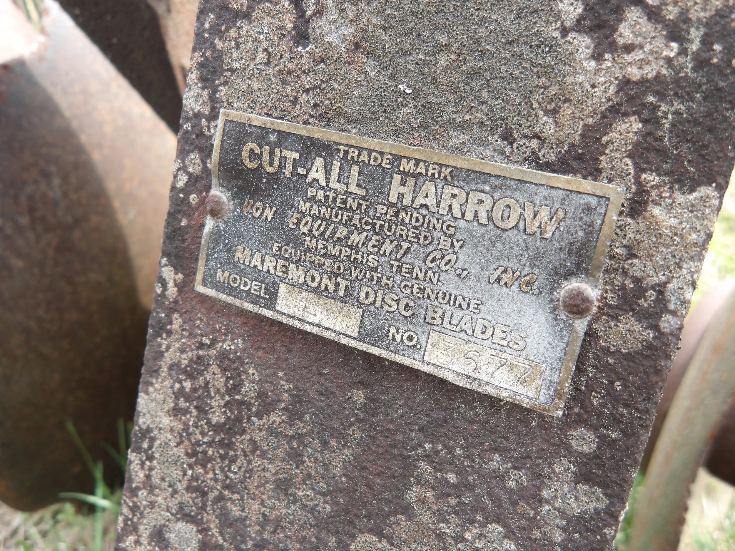 IMGP0022.JPG